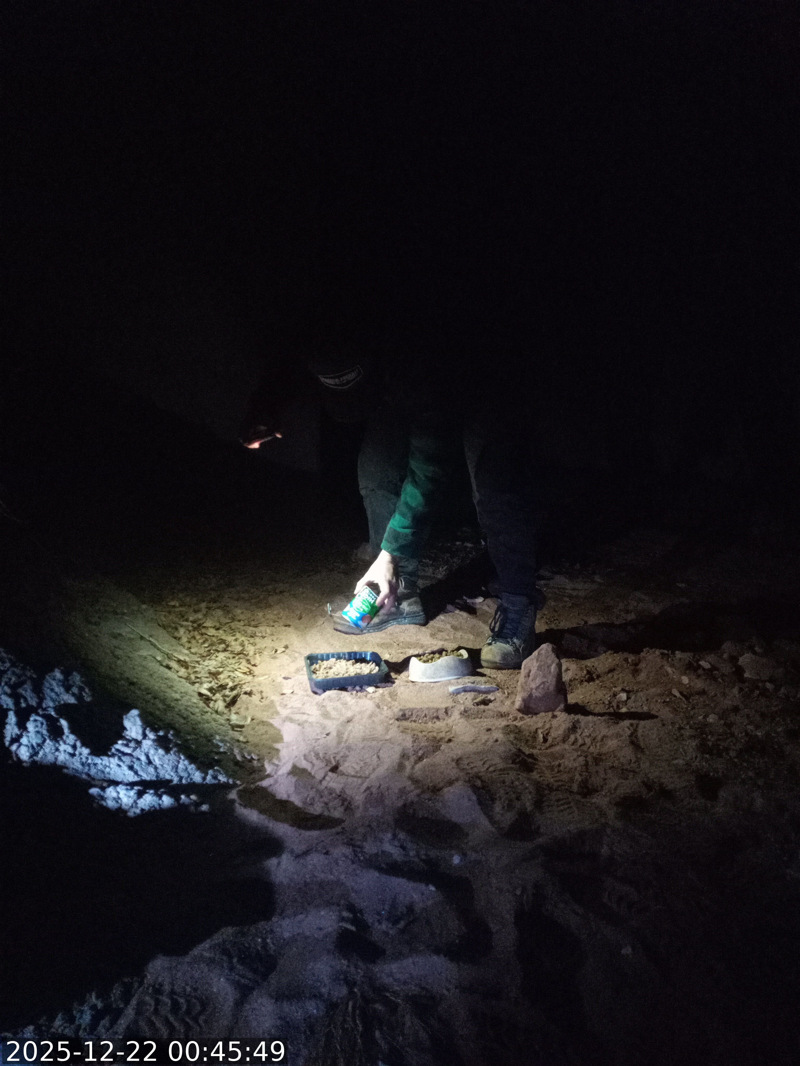 Raw animal camera upload (unprocessed). File: mot-det-20251221-192439.jpg.