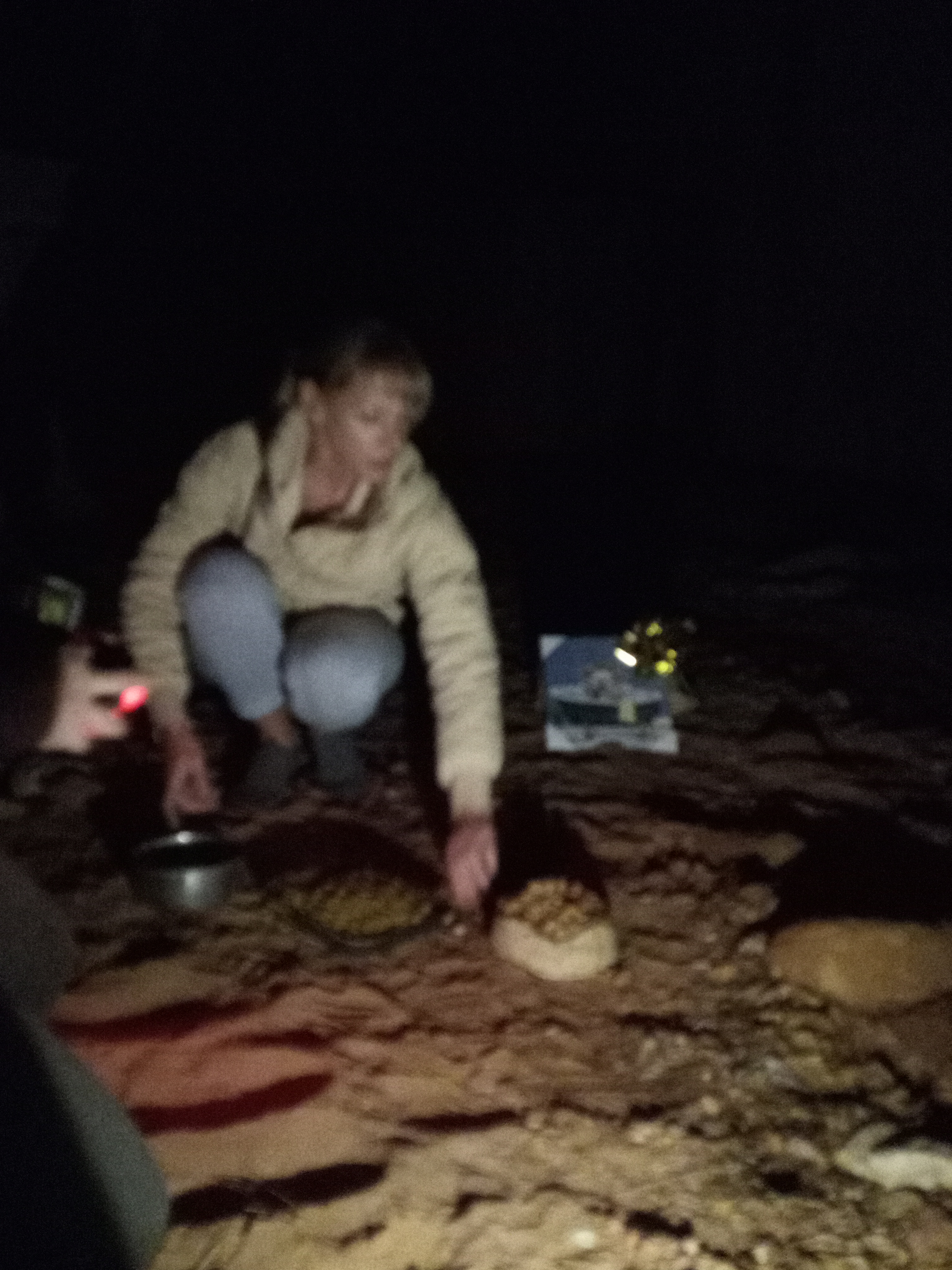 Raw animal camera upload (unprocessed). File: mot-det-20251226-200955.jpg.