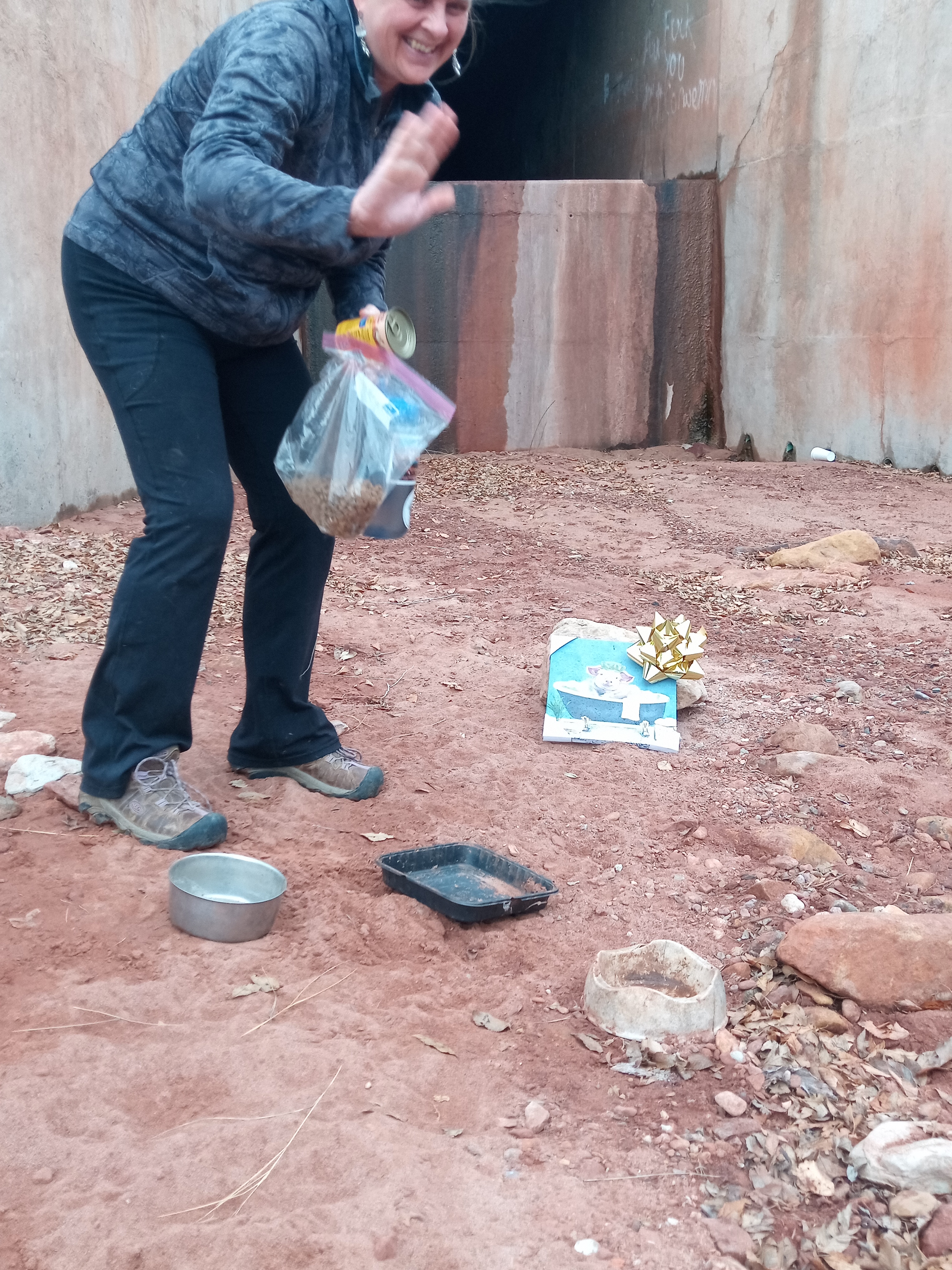 Raw animal camera upload (unprocessed). File: mot-det-20251227-101957.jpg.