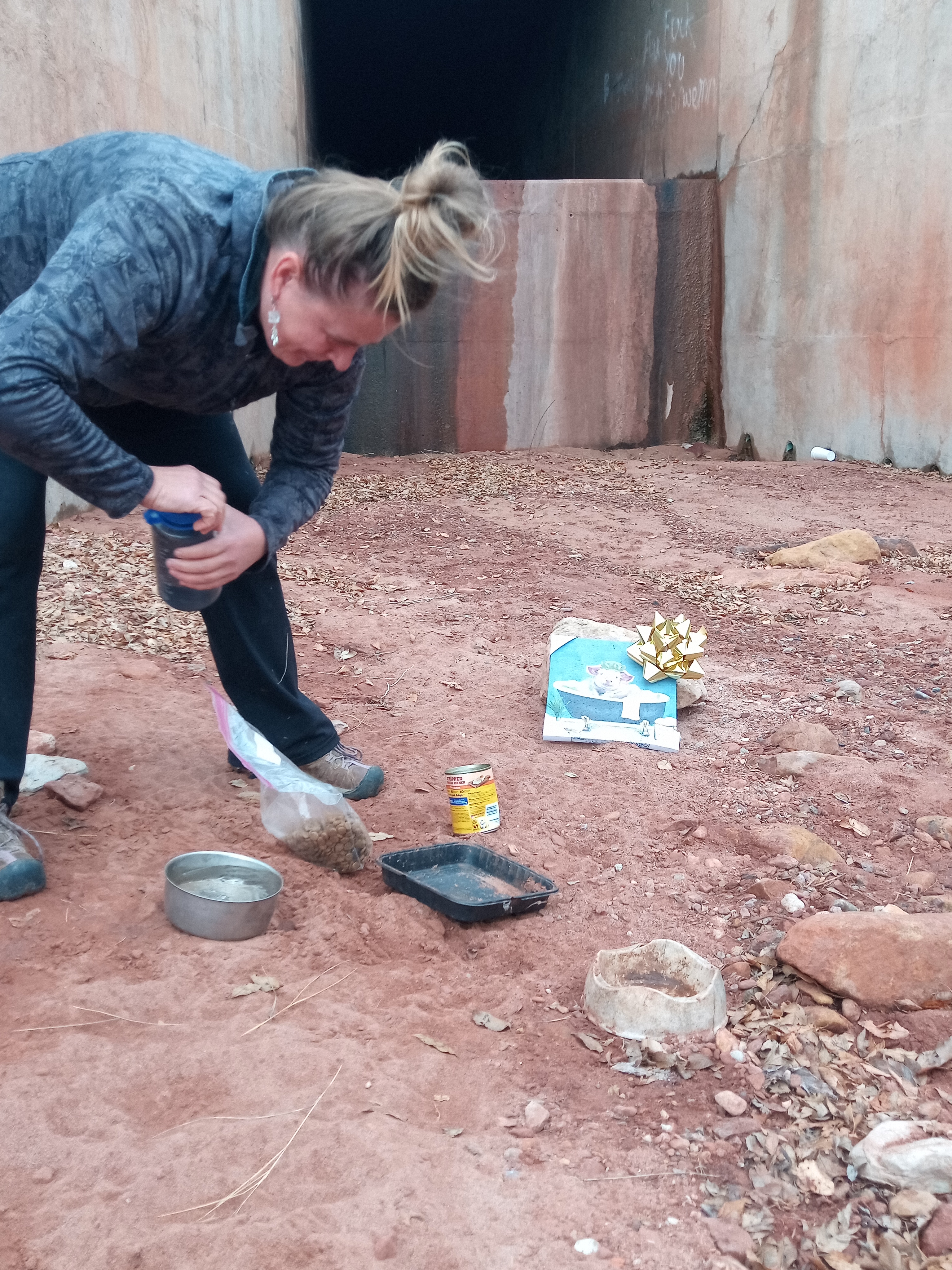 Raw animal camera upload (unprocessed). File: mot-det-20251227-102009.jpg.