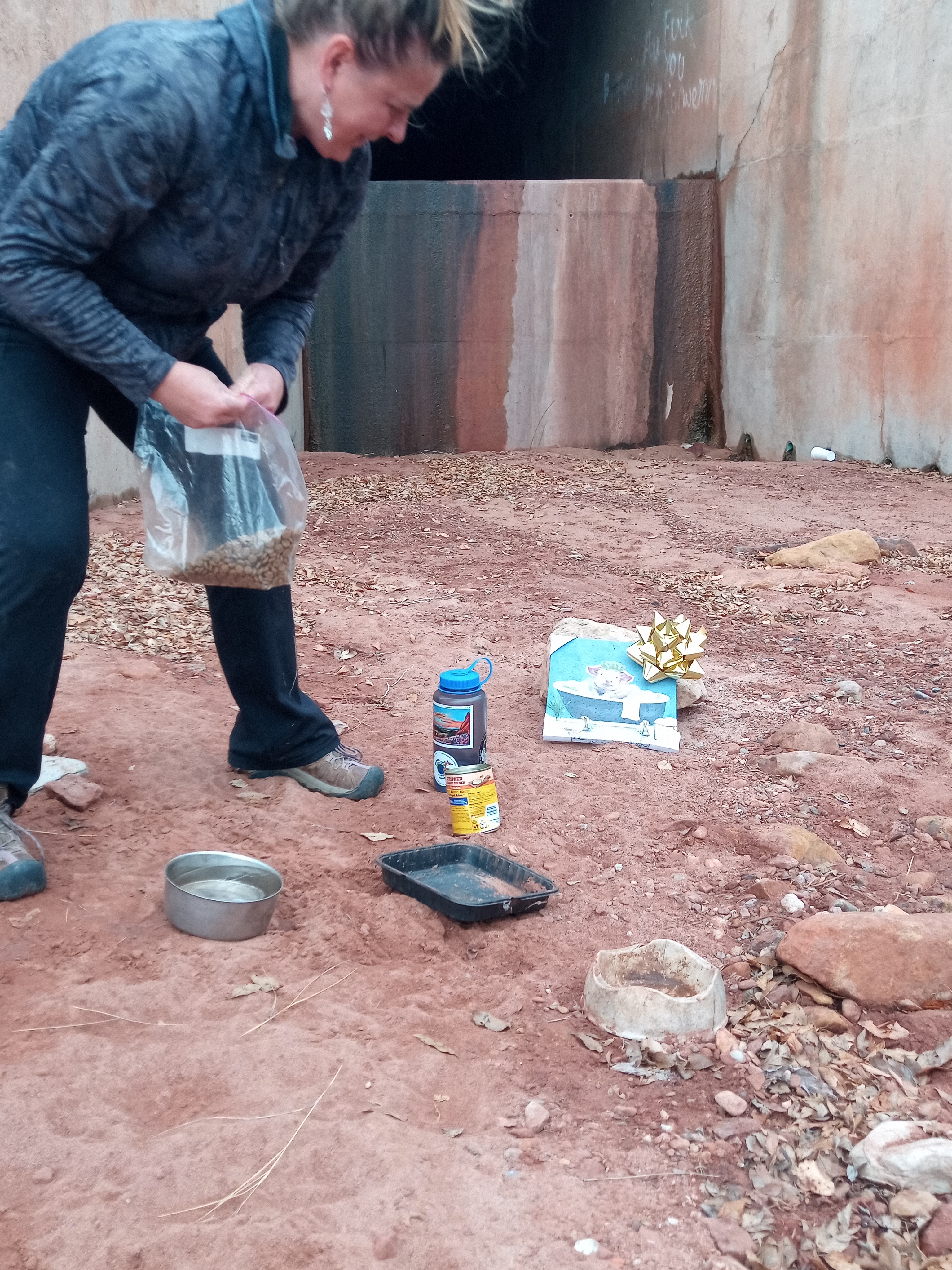 Raw animal camera upload (unprocessed). File: mot-det-20251227-102012.jpg.