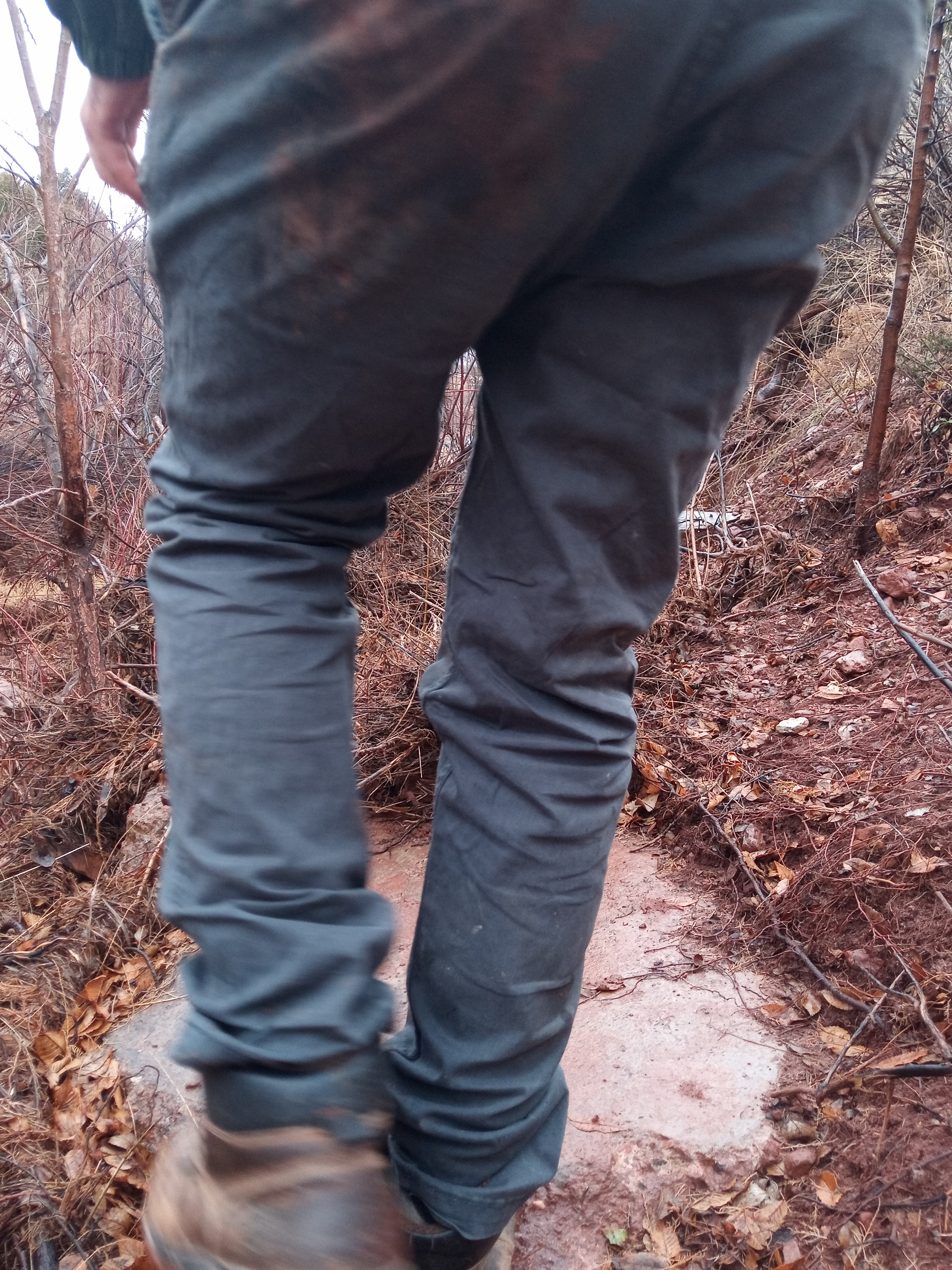 Raw animal camera upload (unprocessed). File: mot-det-20251227-130121.jpg.