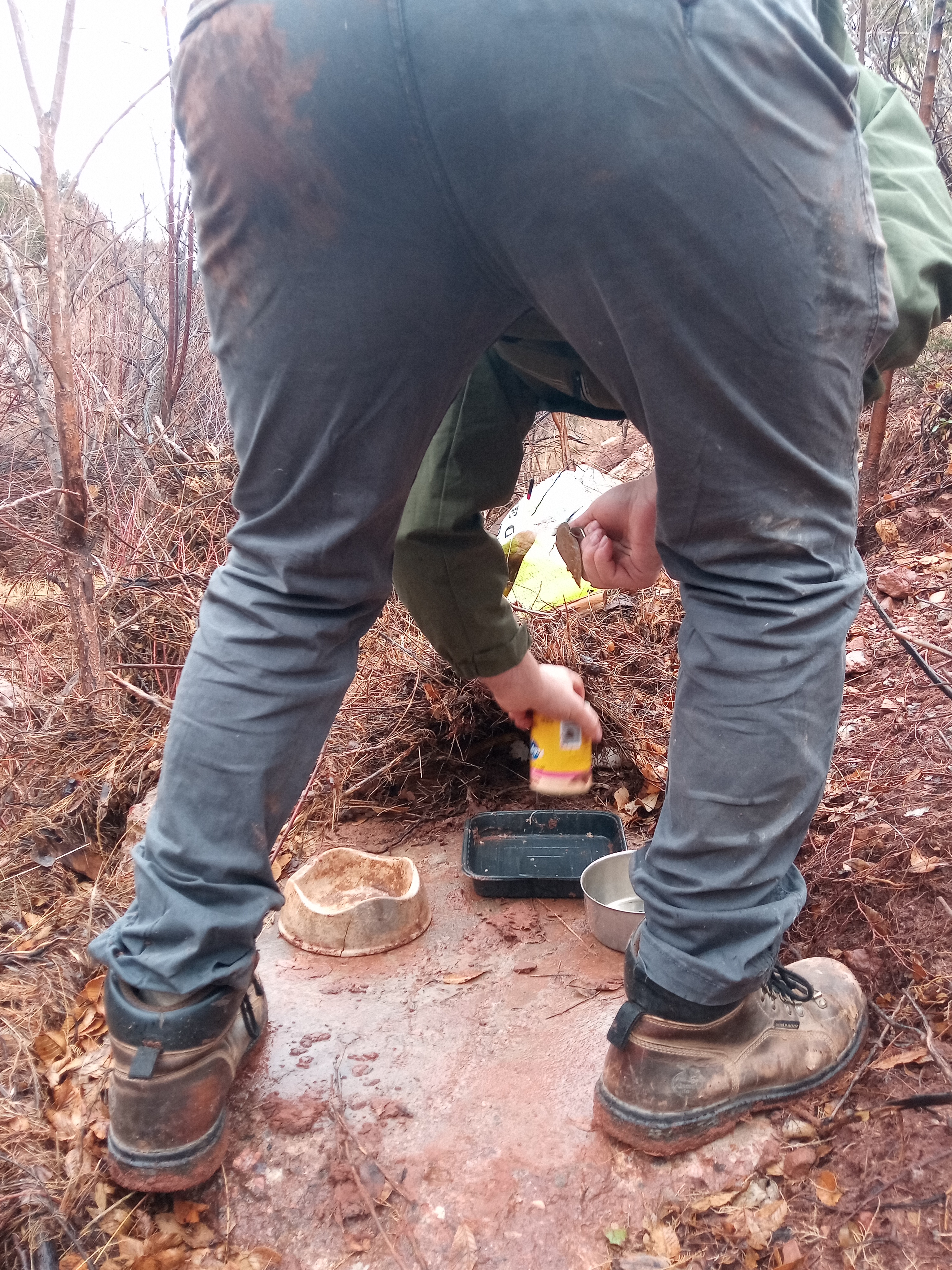 Raw animal camera upload (unprocessed). File: mot-det-20251227-130134.jpg.