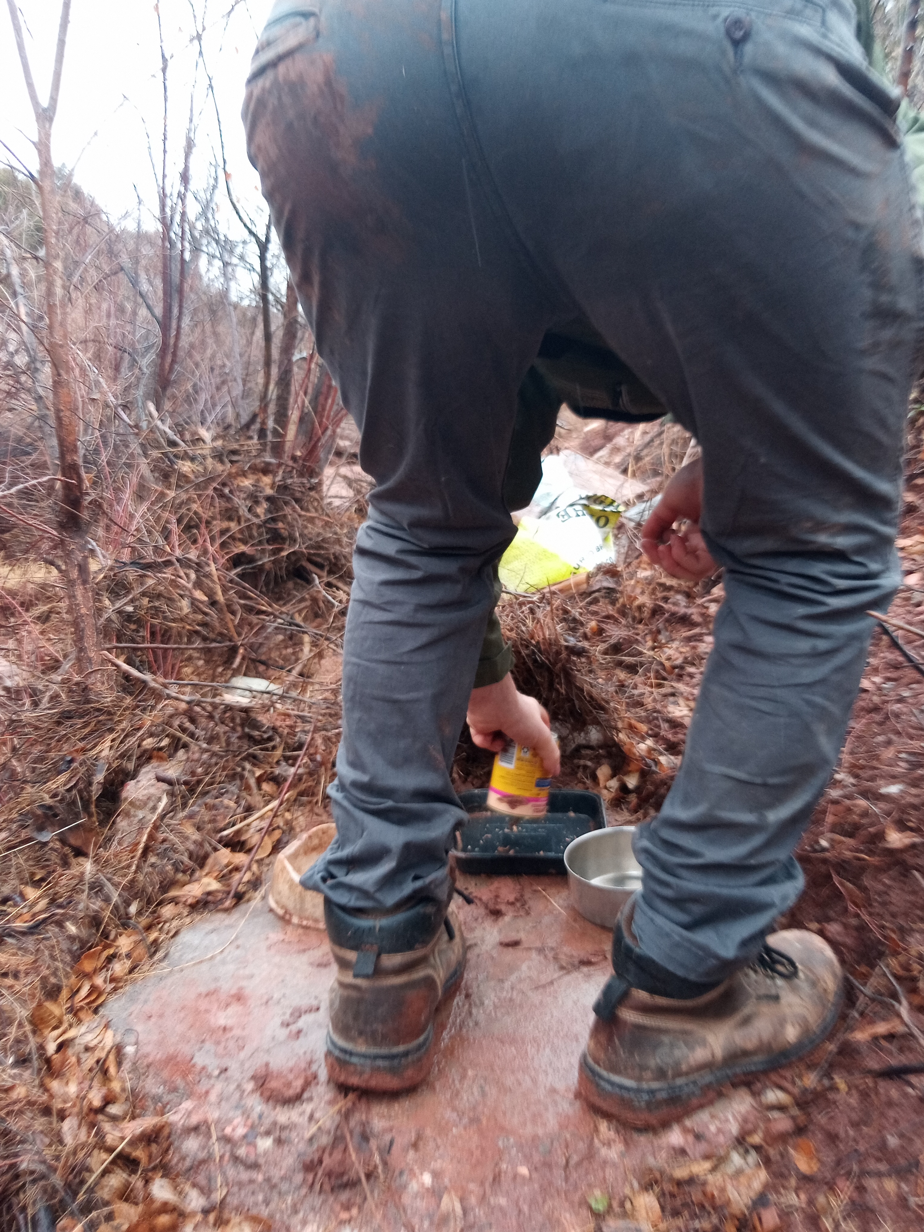 Raw animal camera upload (unprocessed). File: mot-det-20251227-130148.jpg.