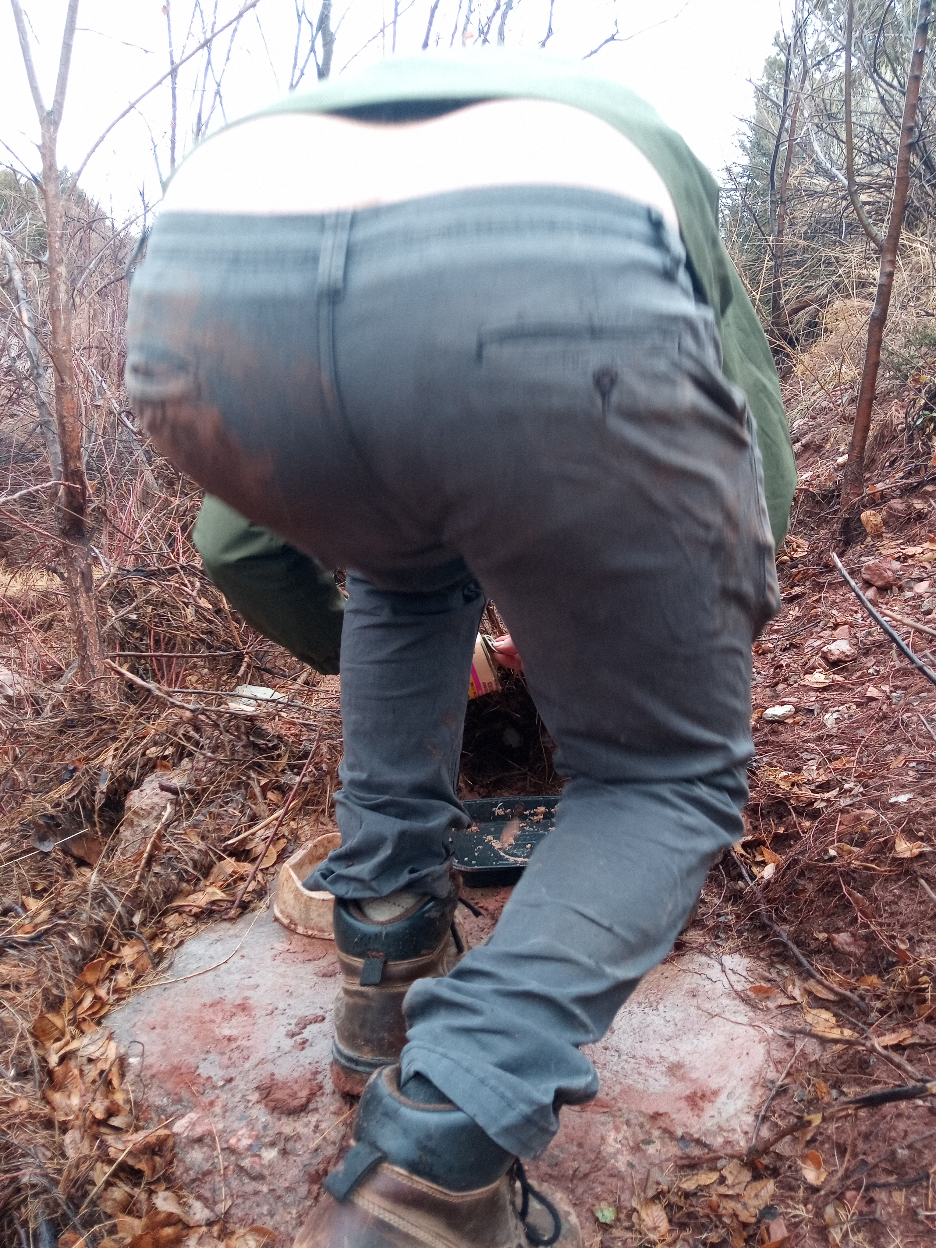 Raw animal camera upload (unprocessed). File: mot-det-20251227-130155.jpg.