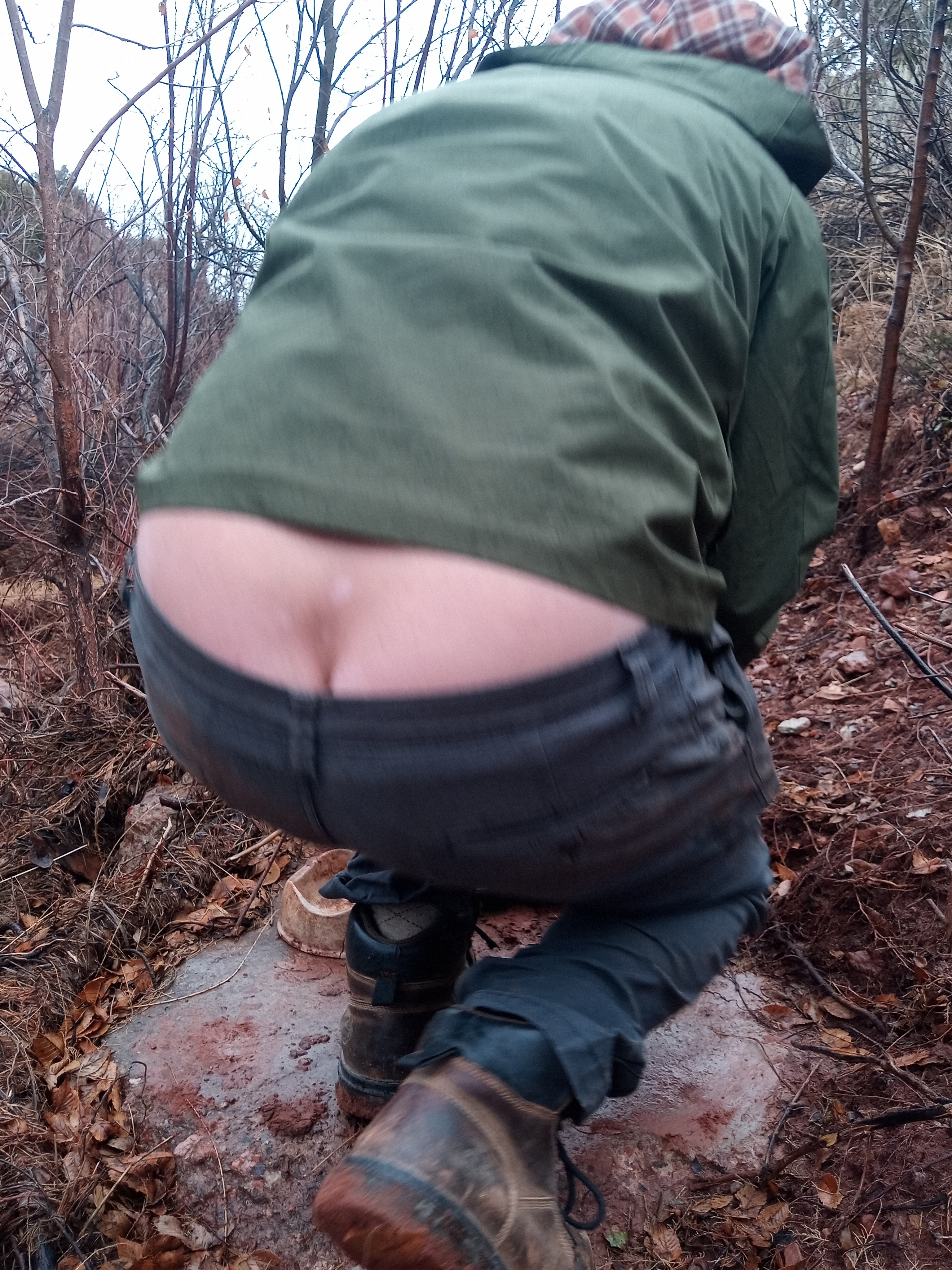 Raw animal camera upload (unprocessed). File: mot-det-20251227-130212.jpg.