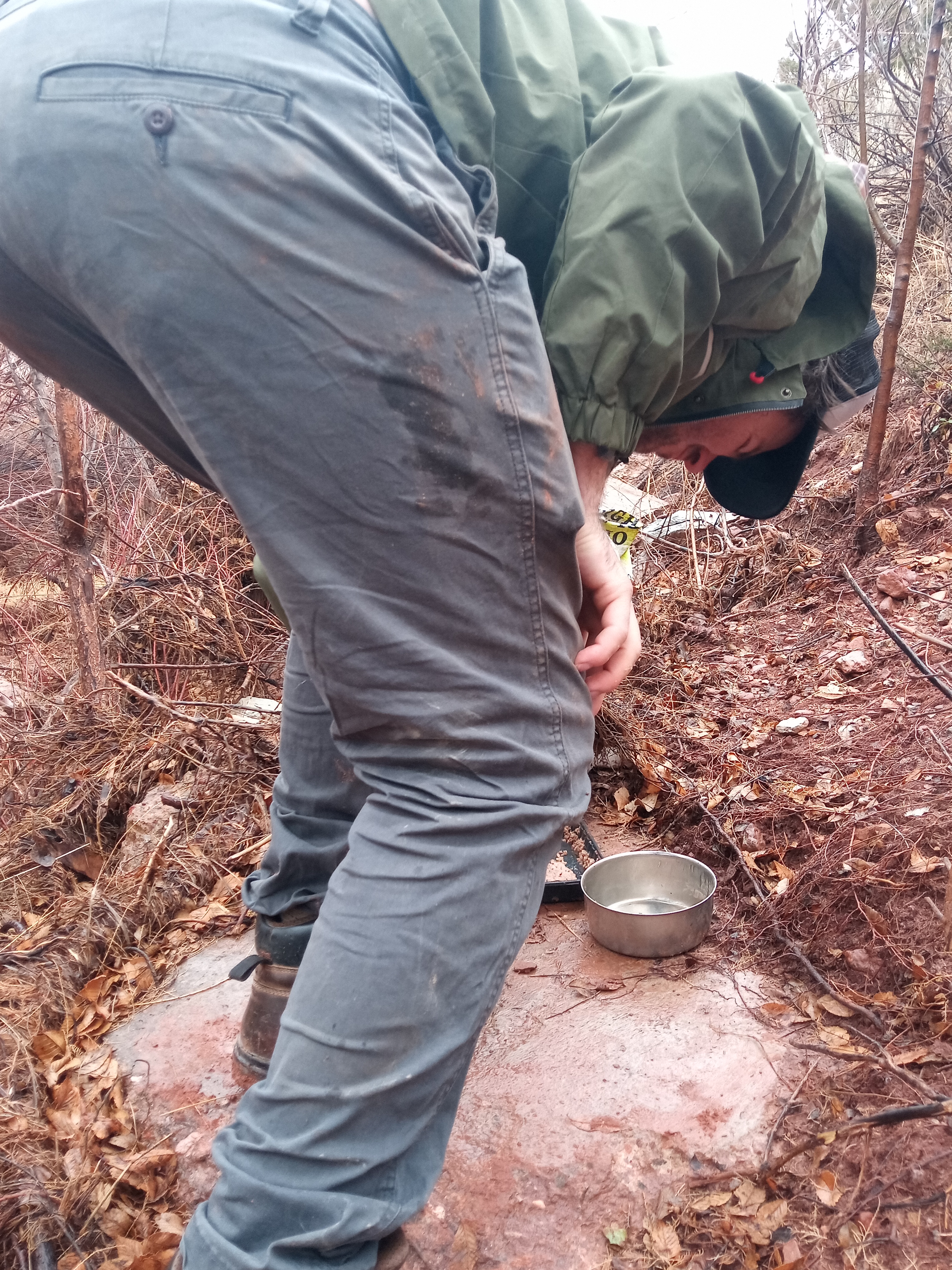 Raw animal camera upload (unprocessed). File: mot-det-20251227-130215.jpg.