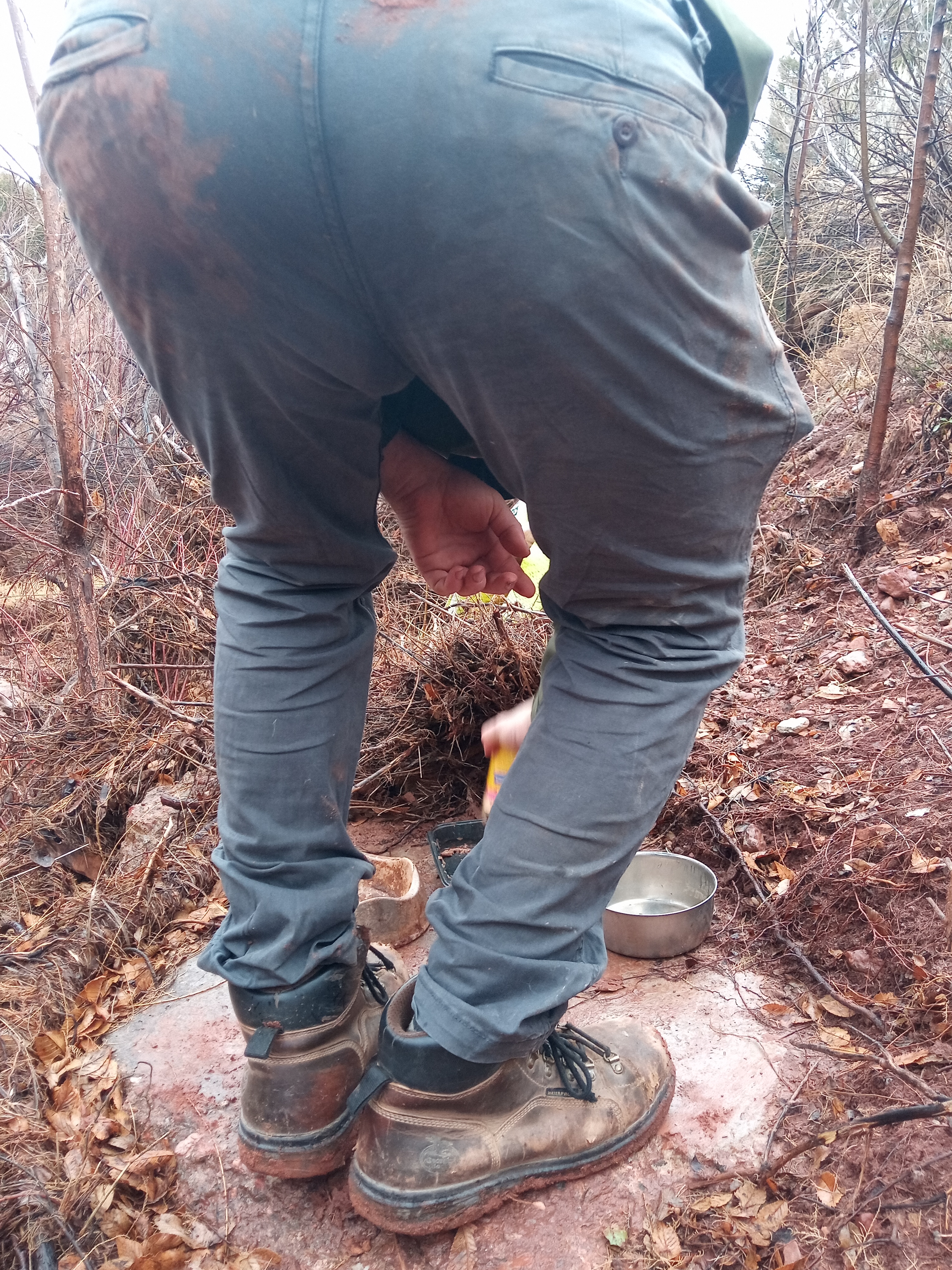 Raw animal camera upload (unprocessed). File: mot-det-20251227-130355.jpg.