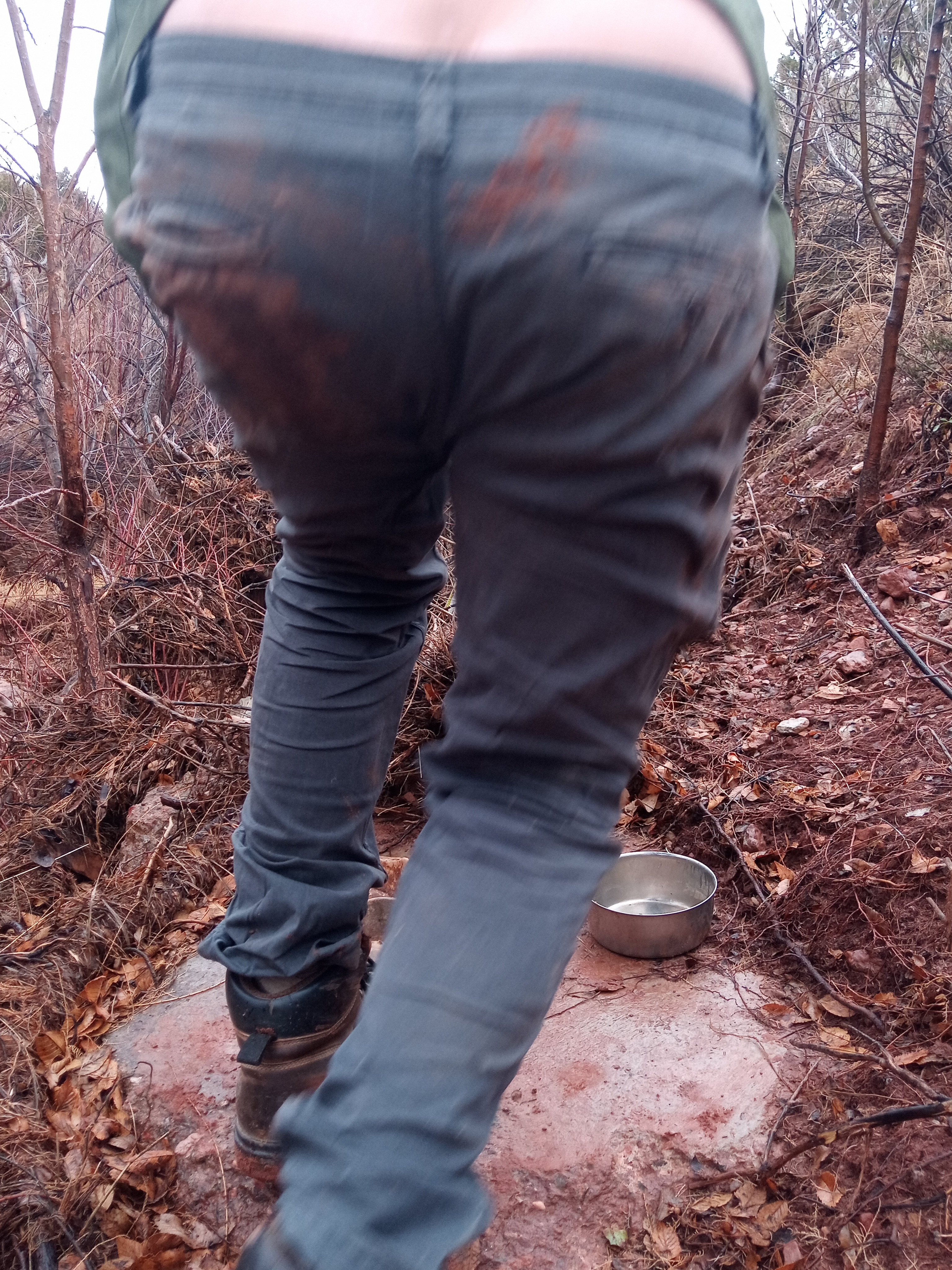 Raw animal camera upload (unprocessed). File: mot-det-20251227-130411.jpg.