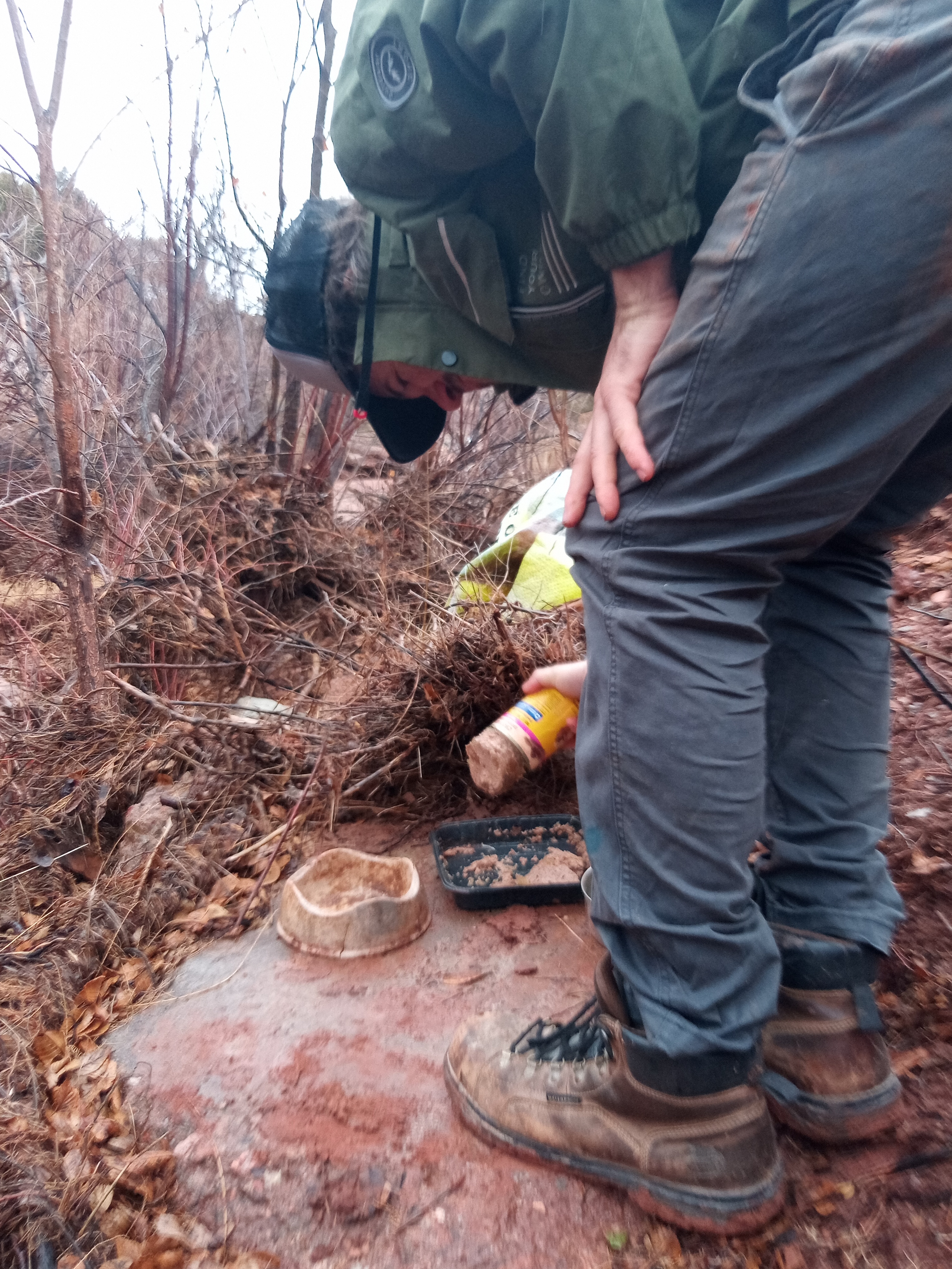 Raw animal camera upload (unprocessed). File: mot-det-20251227-130414.jpg.