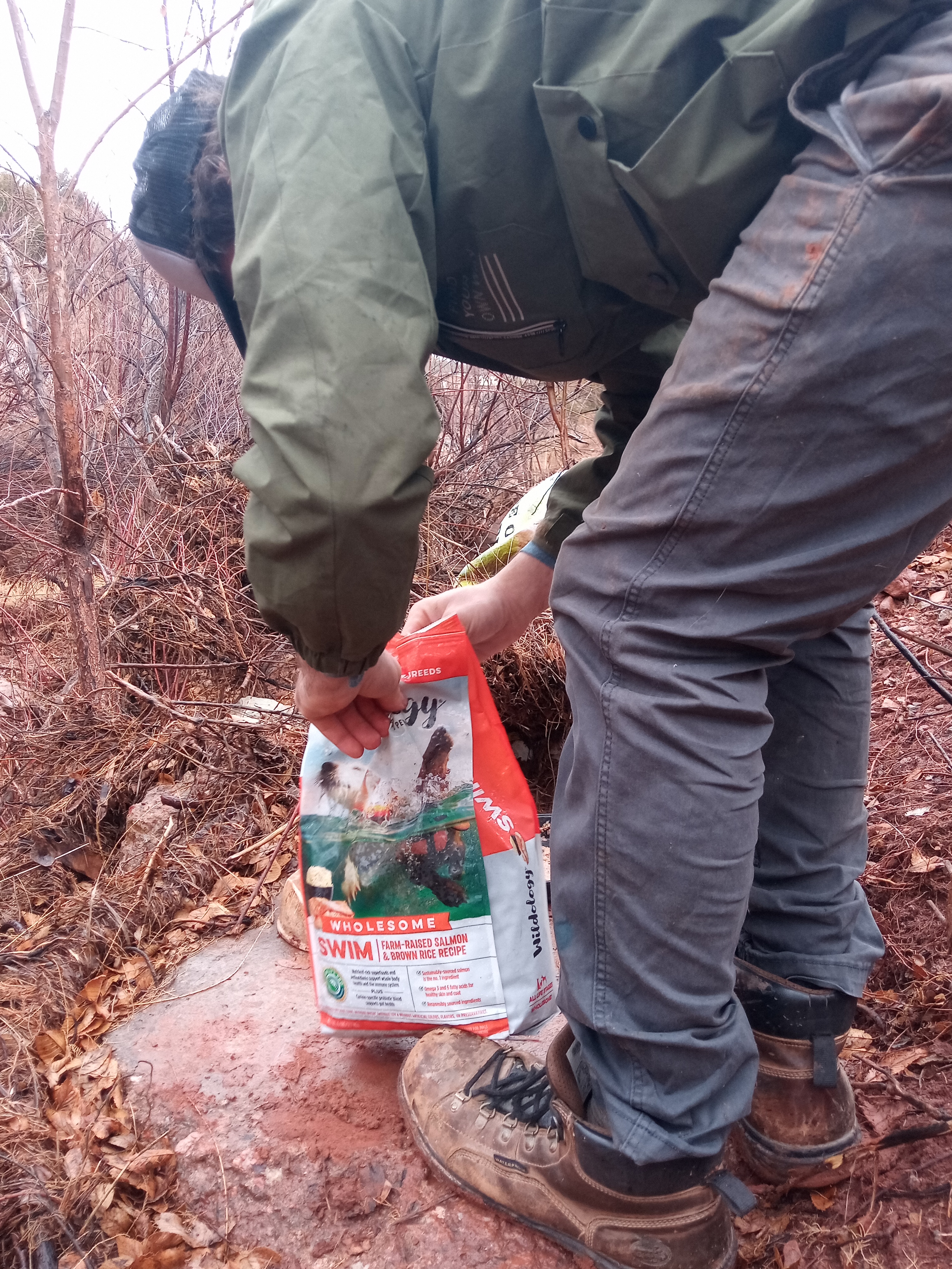 Raw animal camera upload (unprocessed). File: mot-det-20251227-130425.jpg.