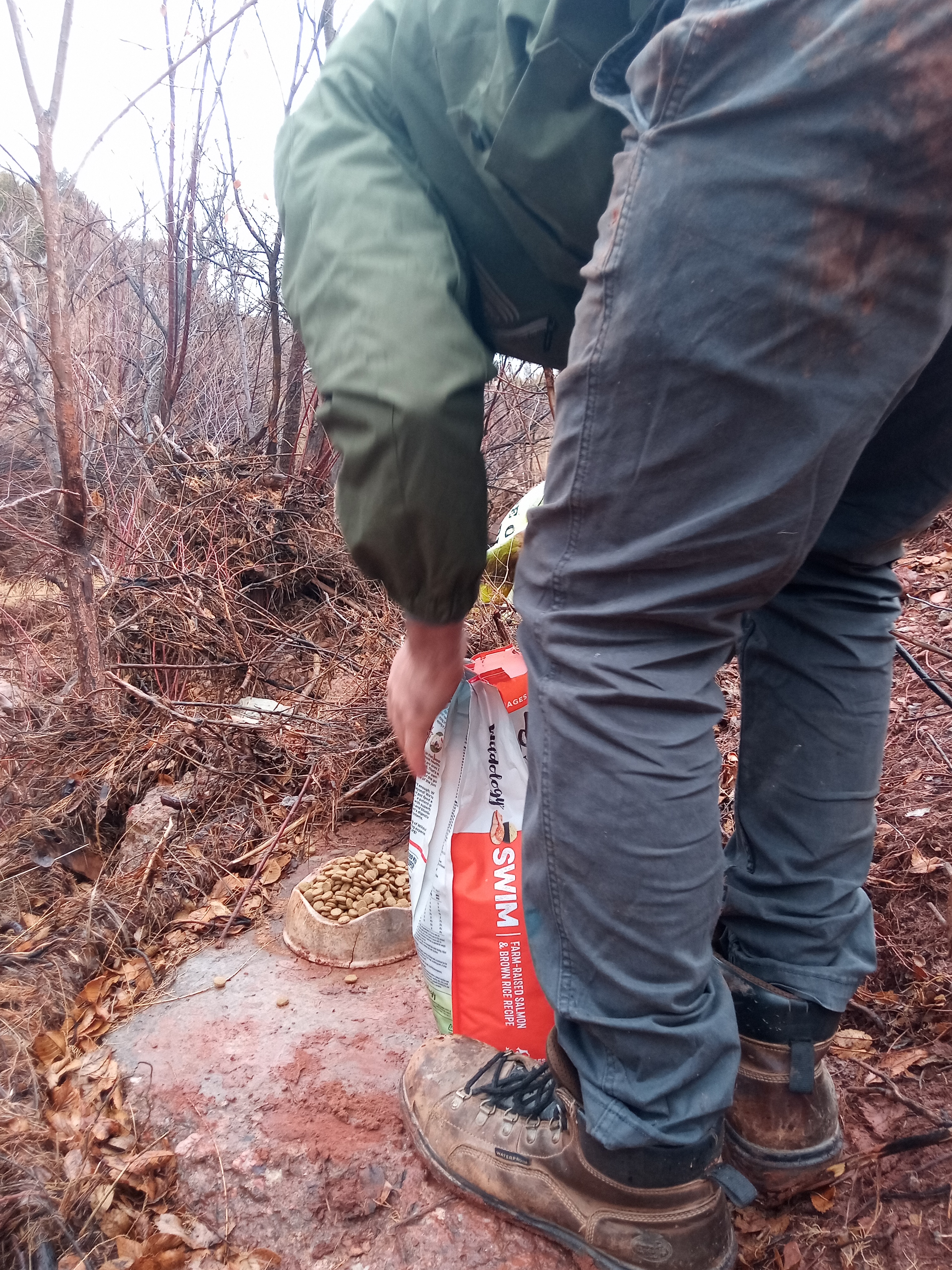 Raw animal camera upload (unprocessed). File: mot-det-20251227-130439.jpg.