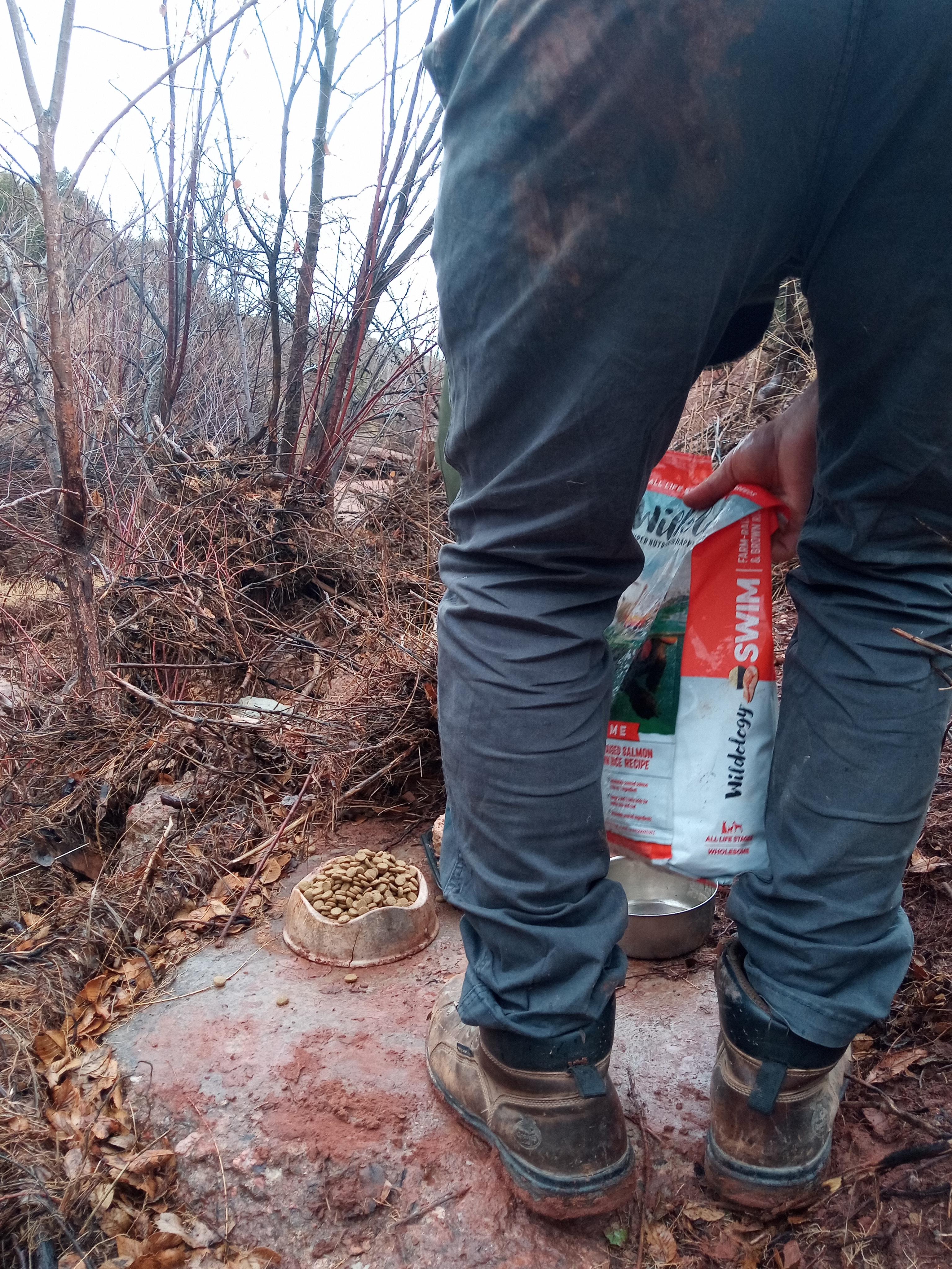 Raw animal camera upload (unprocessed). File: mot-det-20251227-130442.jpg.