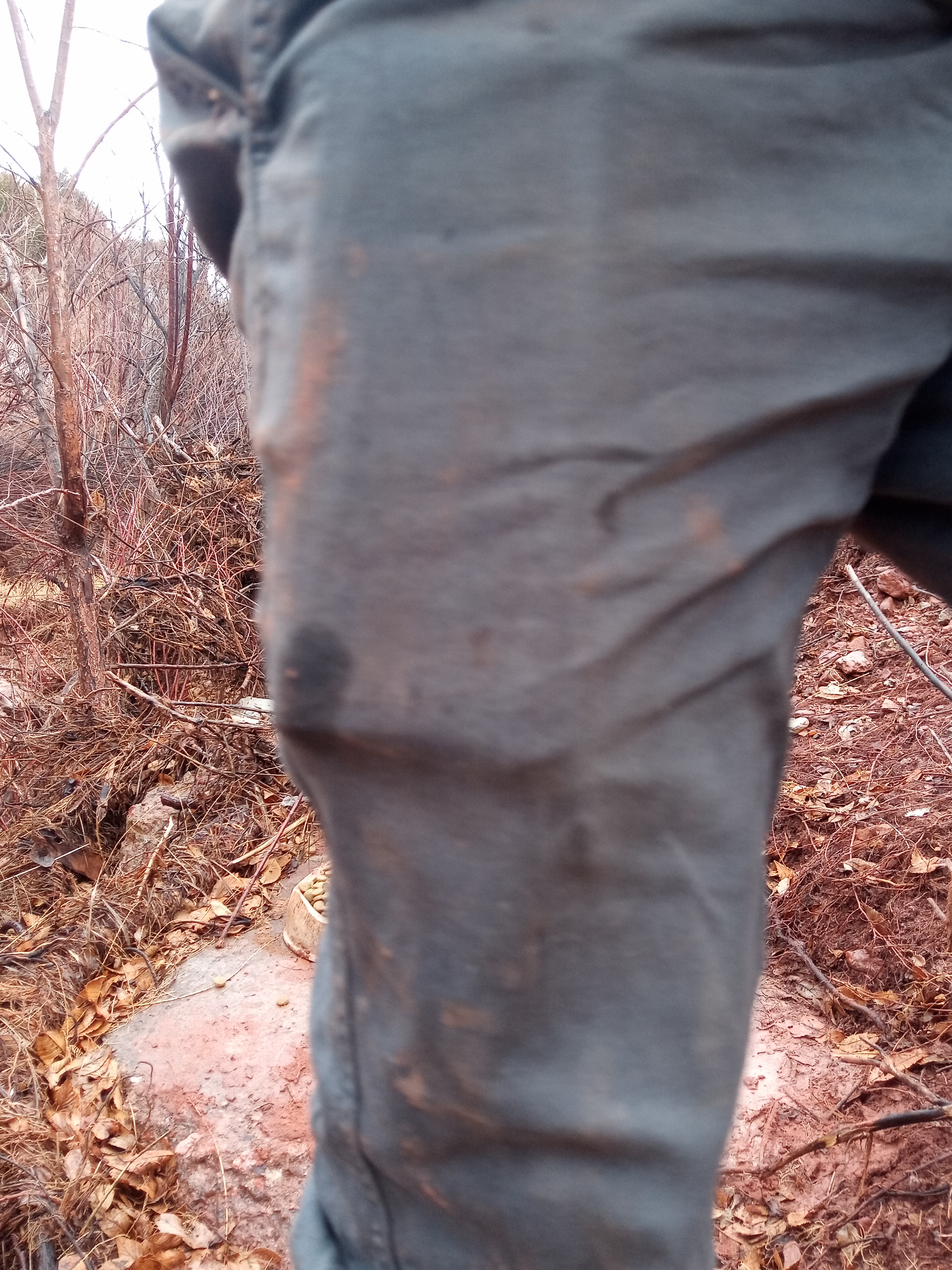 Raw animal camera upload (unprocessed). File: mot-det-20251227-130458.jpg.