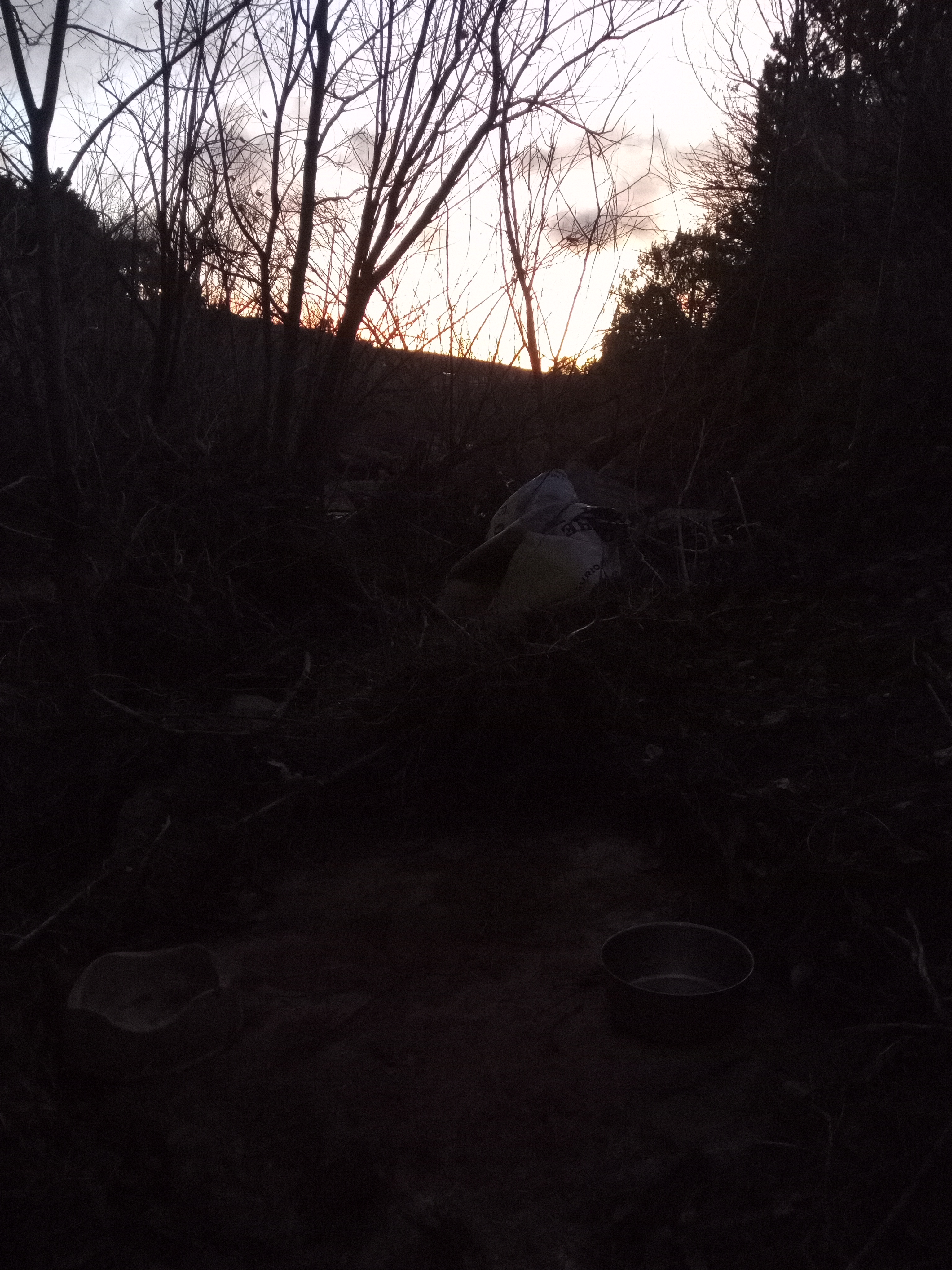 Raw animal camera upload (unprocessed). File: mot-det-20251228-065108.jpg.