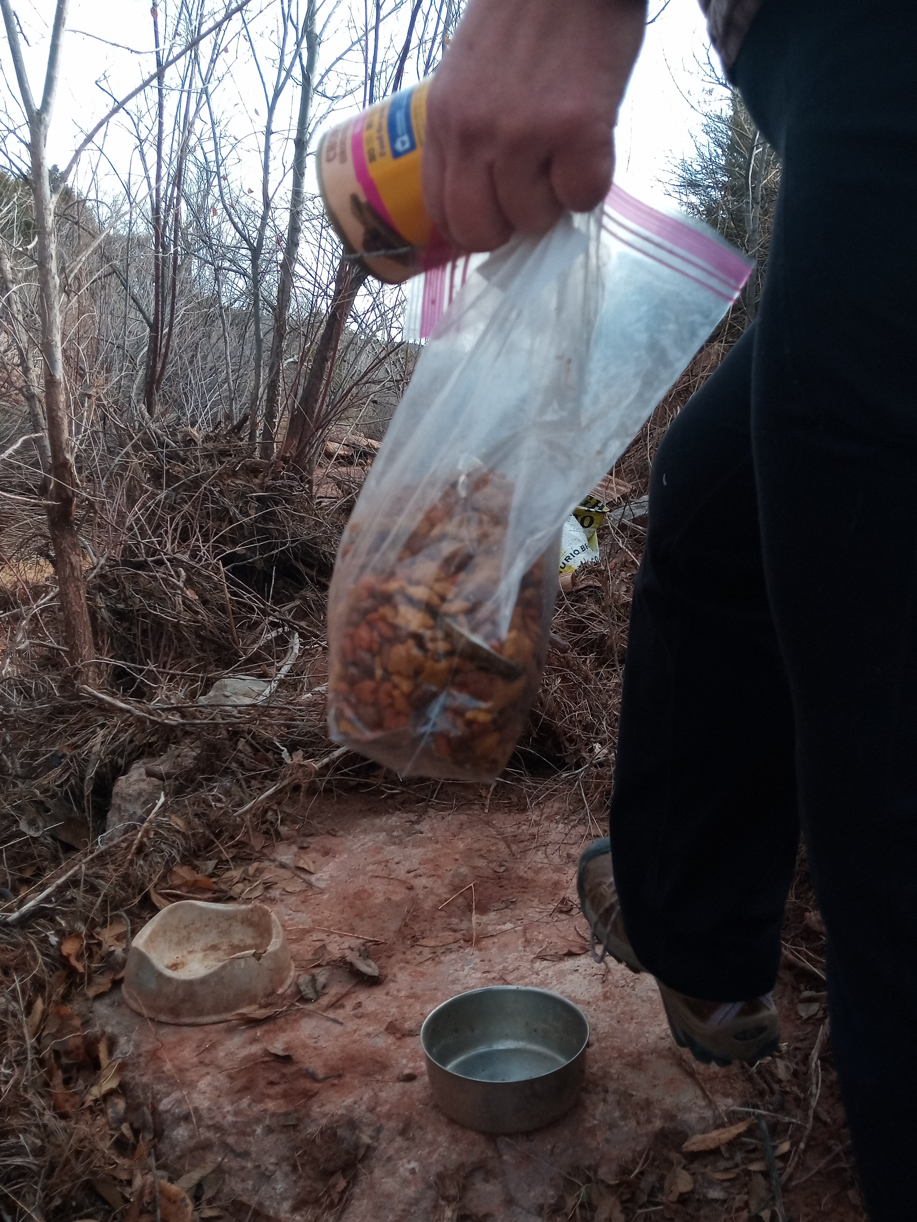 Raw animal camera upload (unprocessed). File: mot-det-20251228-105220.jpg.