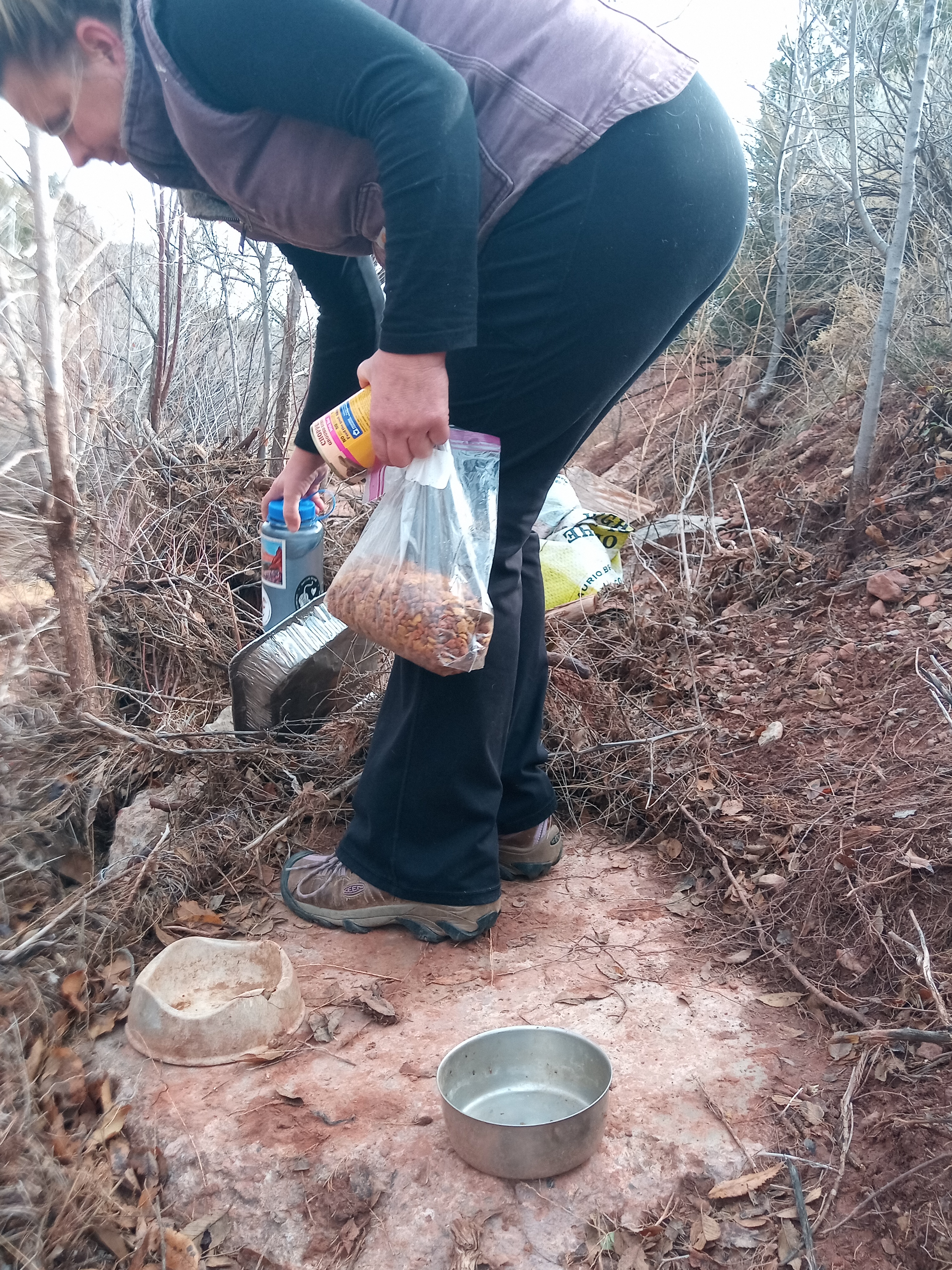 Raw animal camera upload (unprocessed). File: mot-det-20251228-105223.jpg.