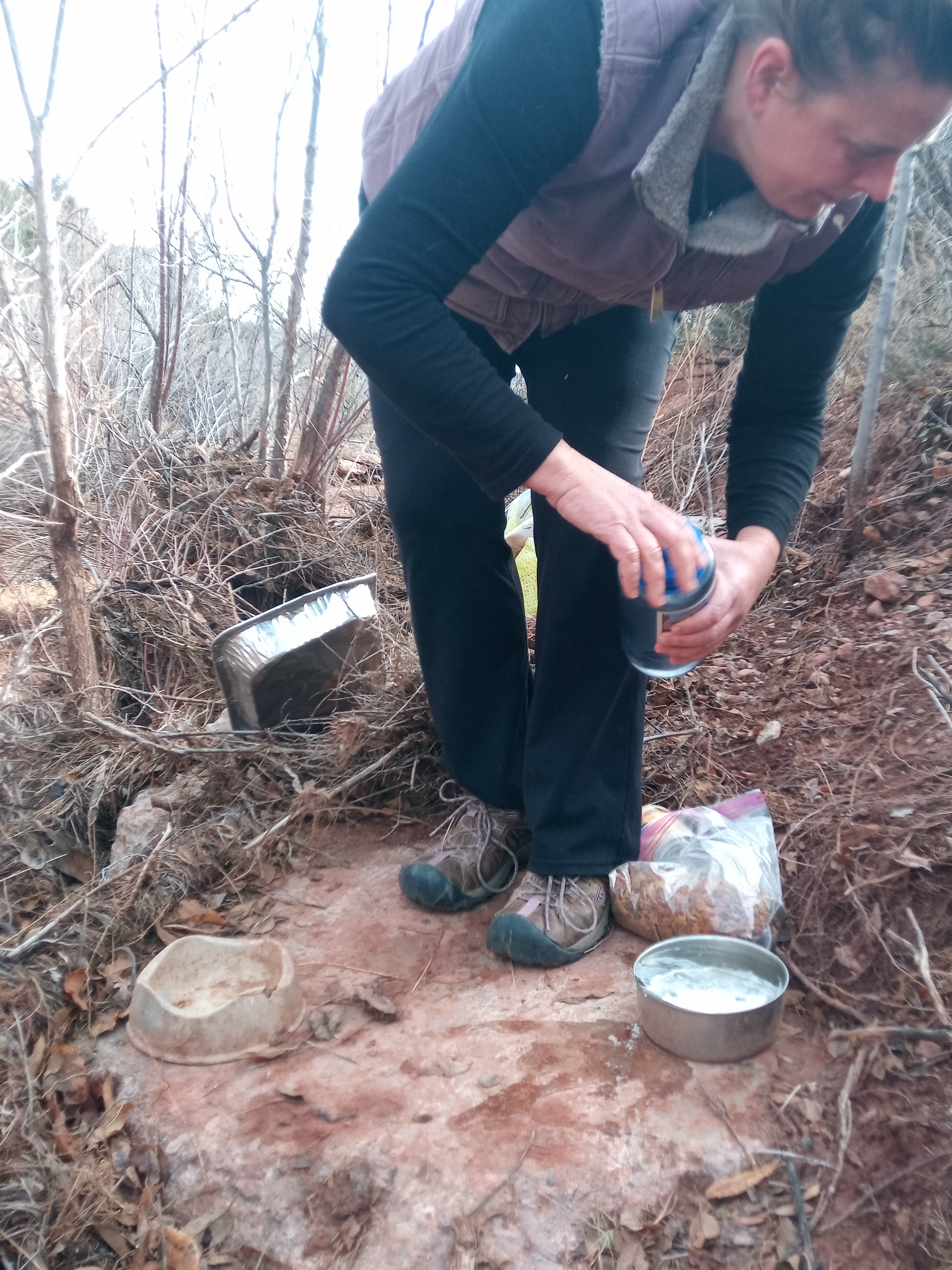 Raw animal camera upload (unprocessed). File: mot-det-20251228-105233.jpg.