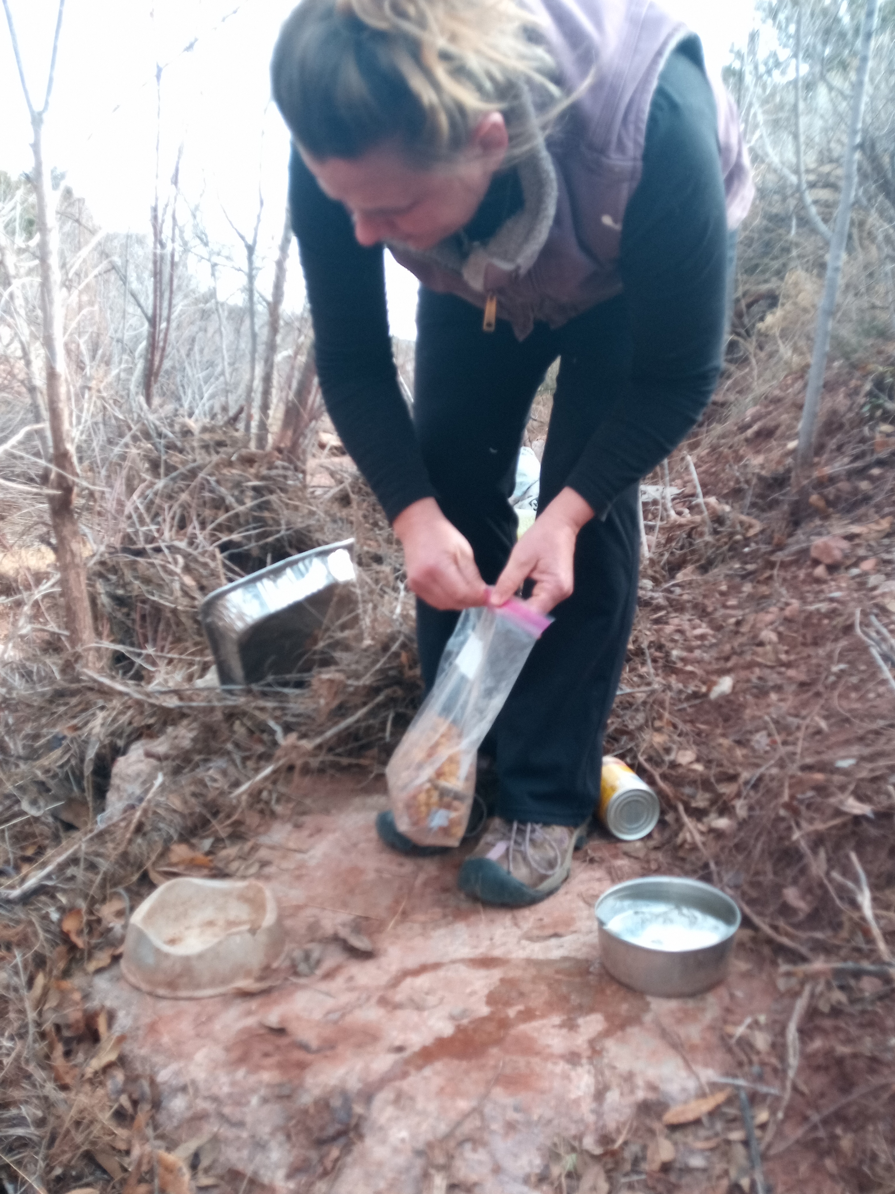 Raw animal camera upload (unprocessed). File: mot-det-20251228-105236.jpg.