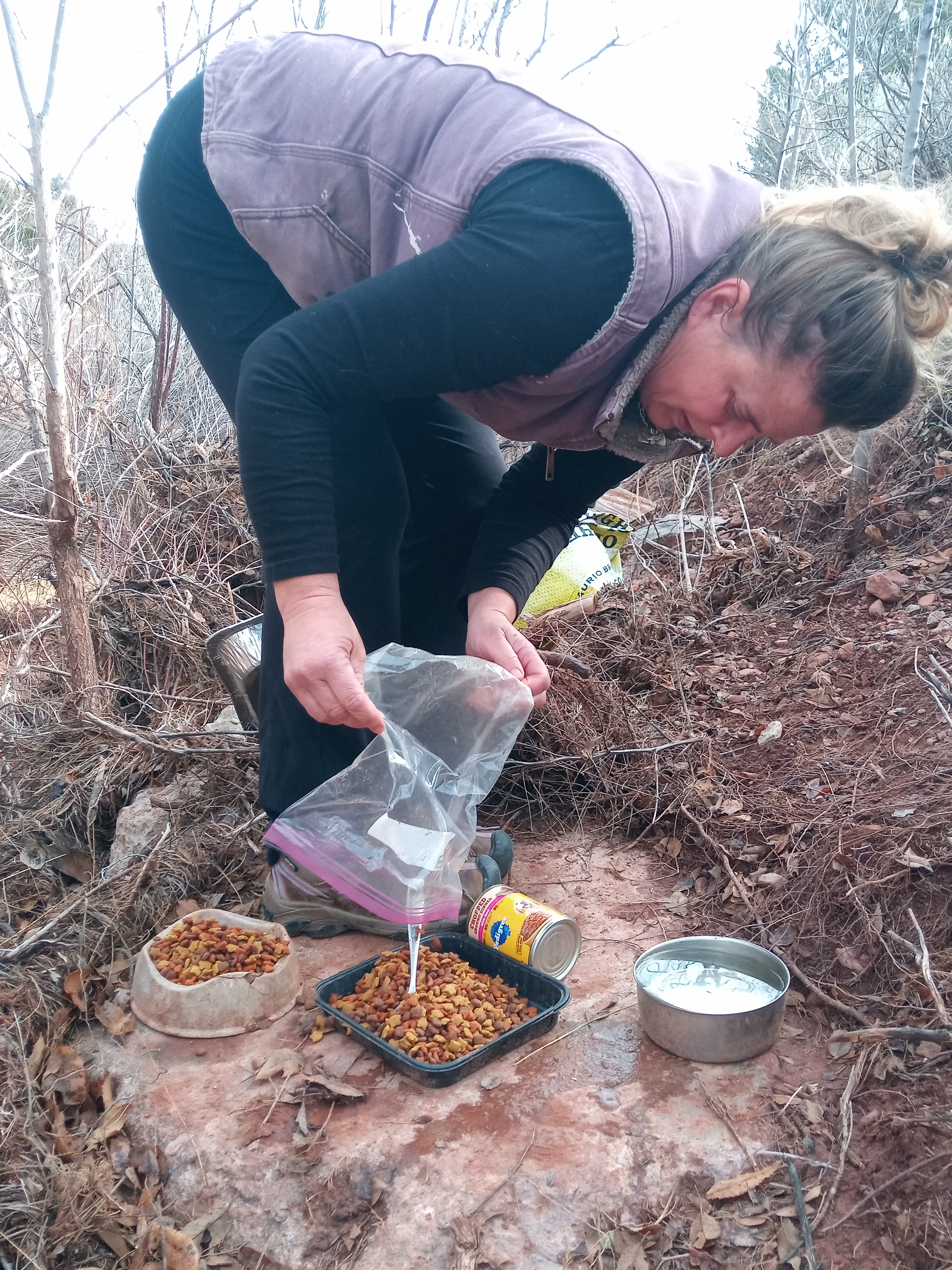 Raw animal camera upload (unprocessed). File: mot-det-20251228-105303.jpg.