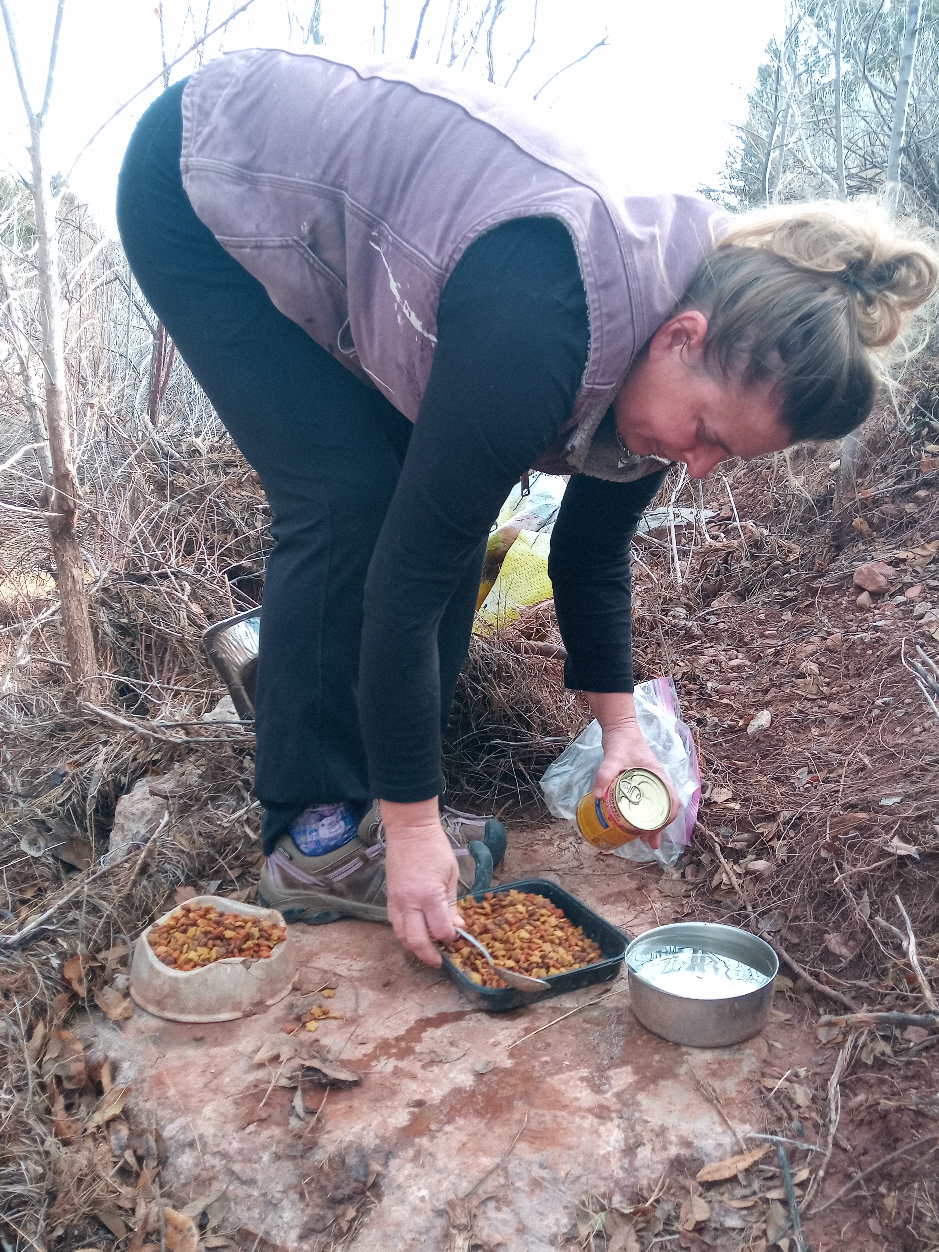 Raw animal camera upload (unprocessed). File: mot-det-20251228-105306.jpg.