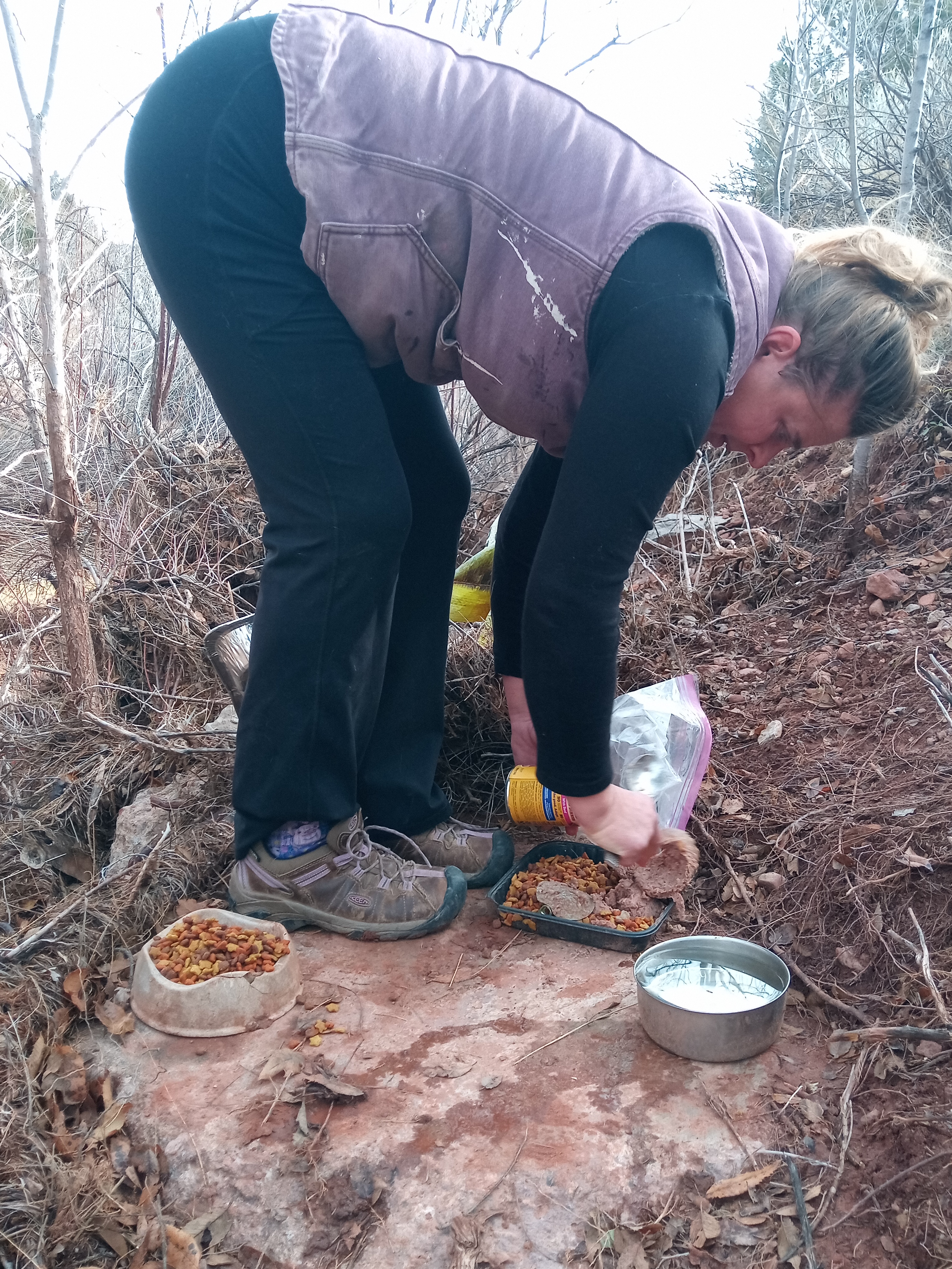 Raw animal camera upload (unprocessed). File: mot-det-20251228-105328.jpg.