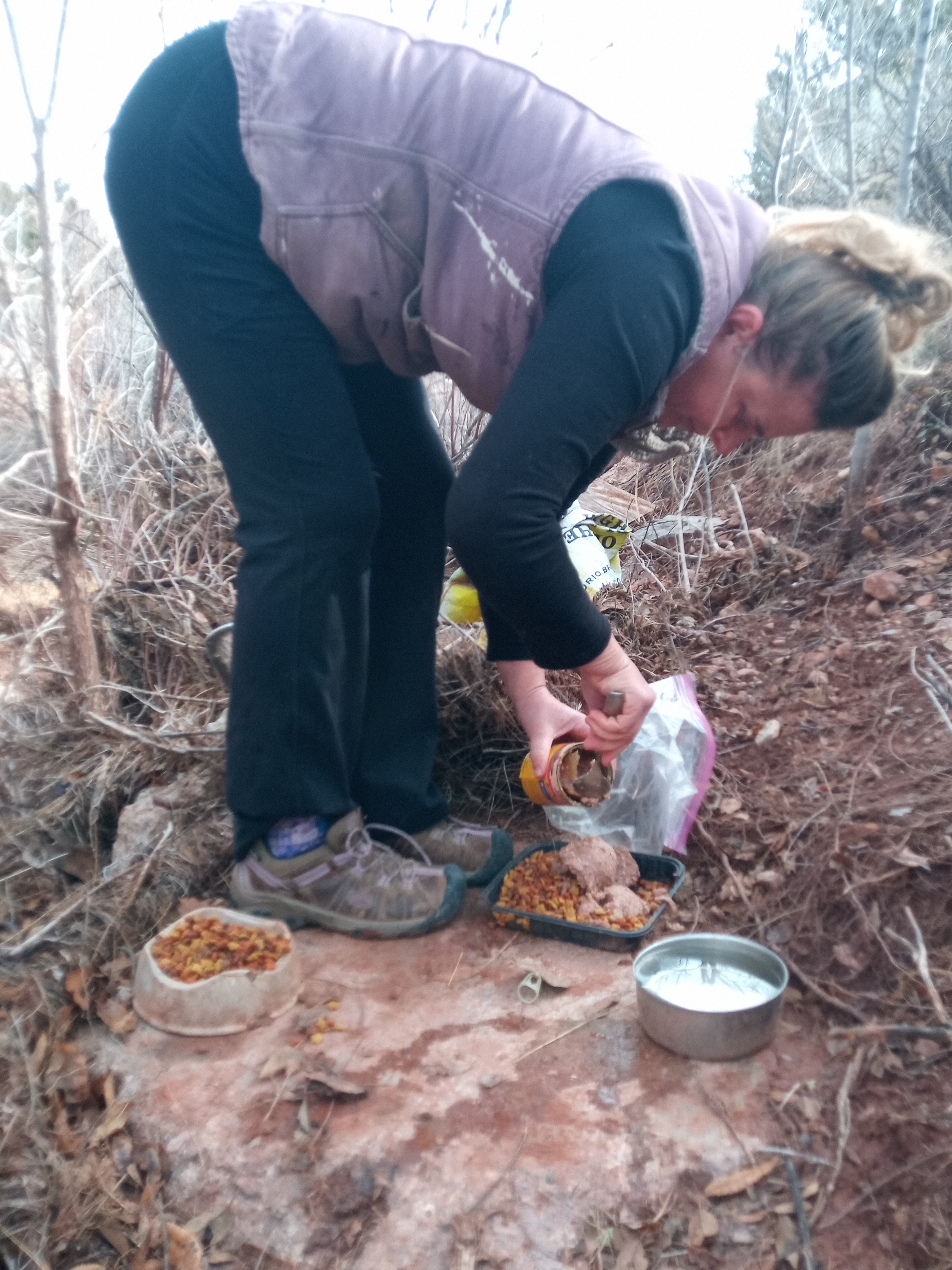 Raw animal camera upload (unprocessed). File: mot-det-20251228-105331.jpg.