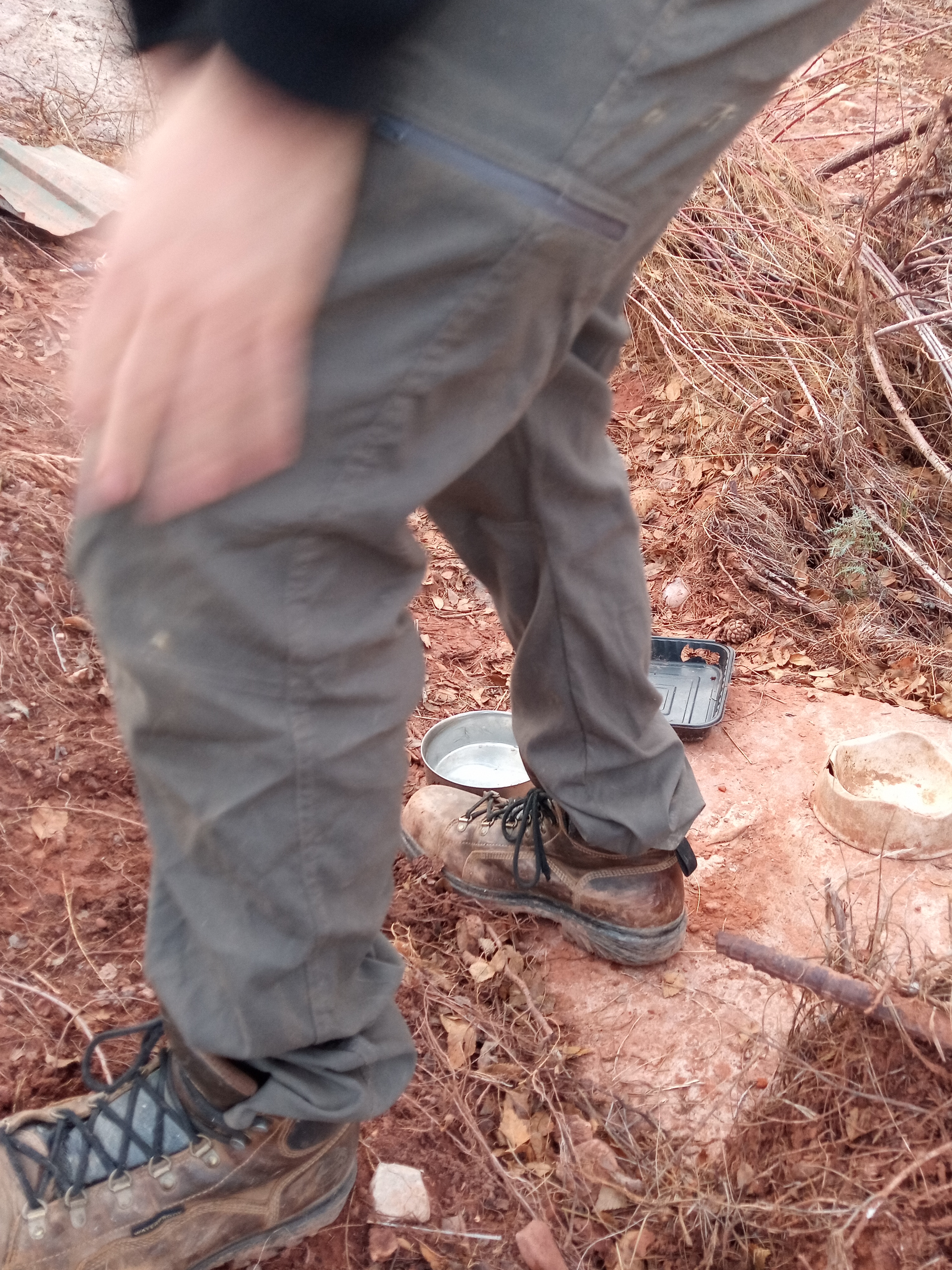 Raw animal camera upload (unprocessed). File: mot-det-20251228-161650.jpg.