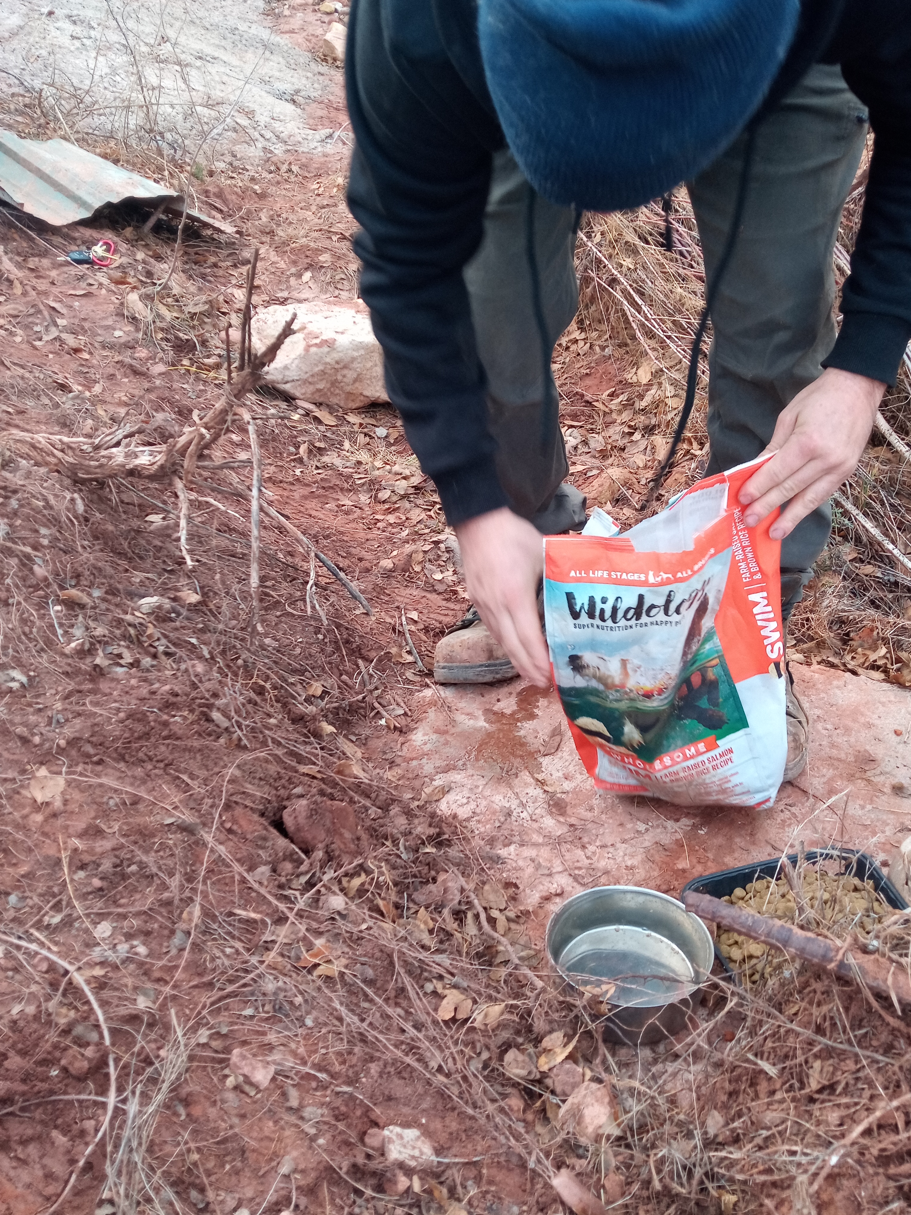 Raw animal camera upload (unprocessed). File: mot-det-20251228-161734.jpg.