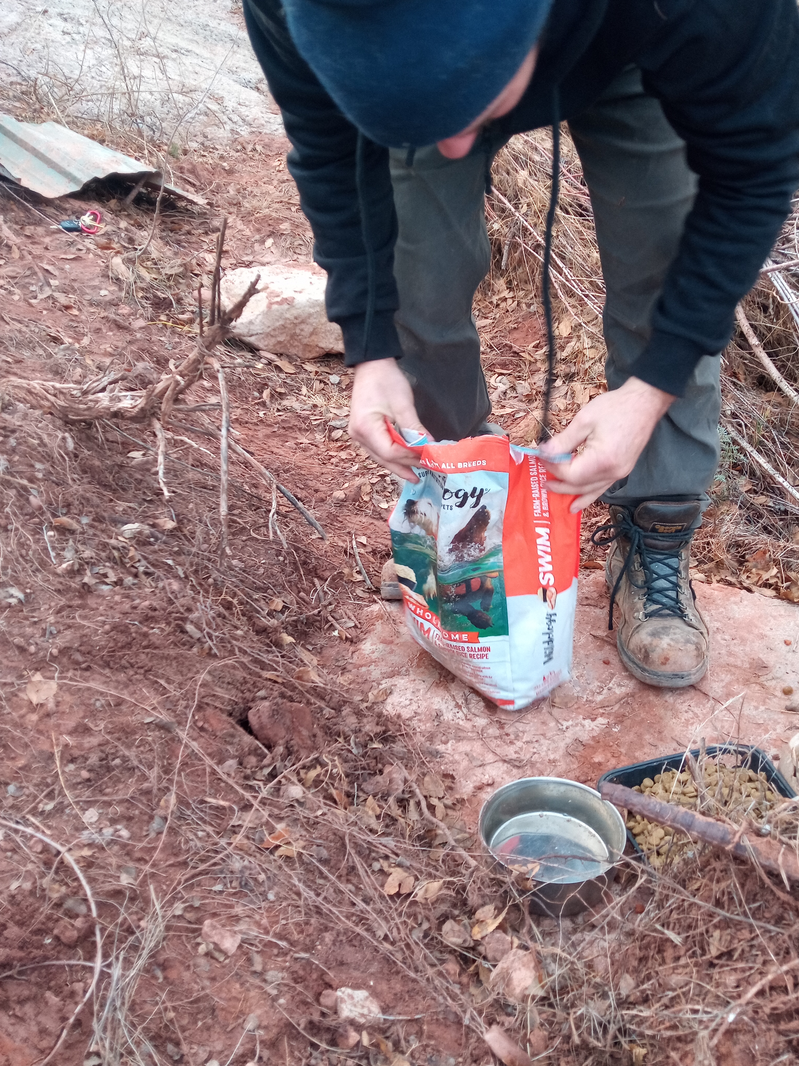 Raw animal camera upload (unprocessed). File: mot-det-20251228-161737.jpg.