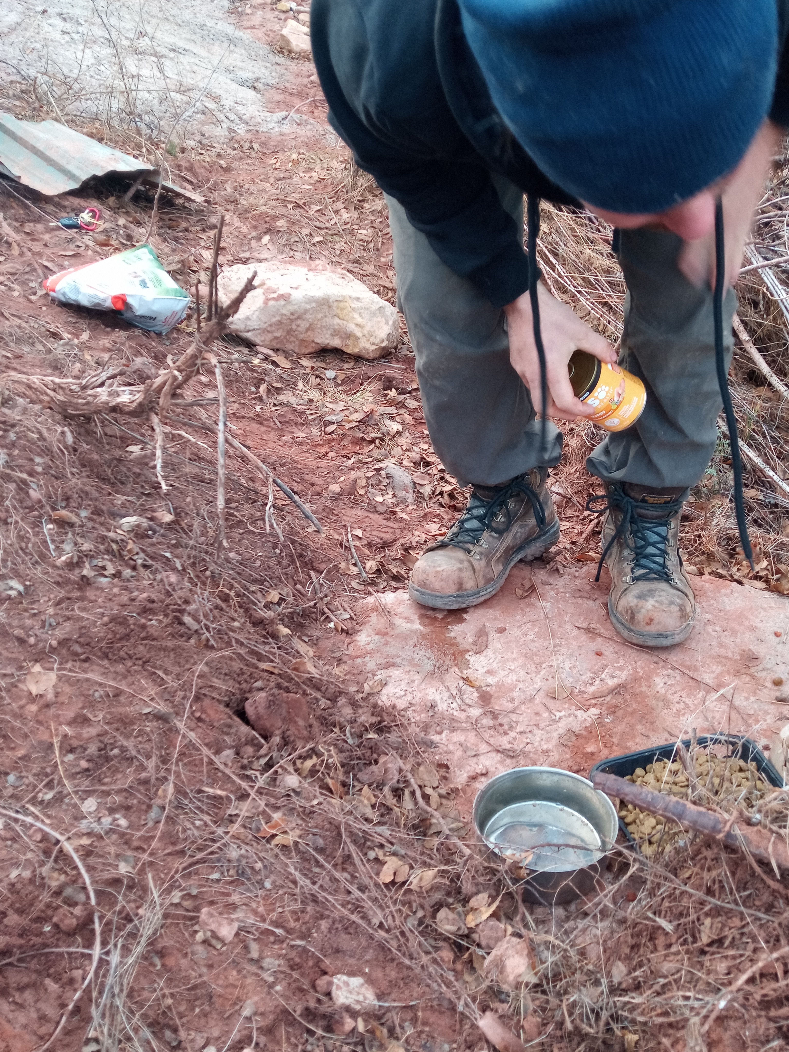 Raw animal camera upload (unprocessed). File: mot-det-20251228-161748.jpg.