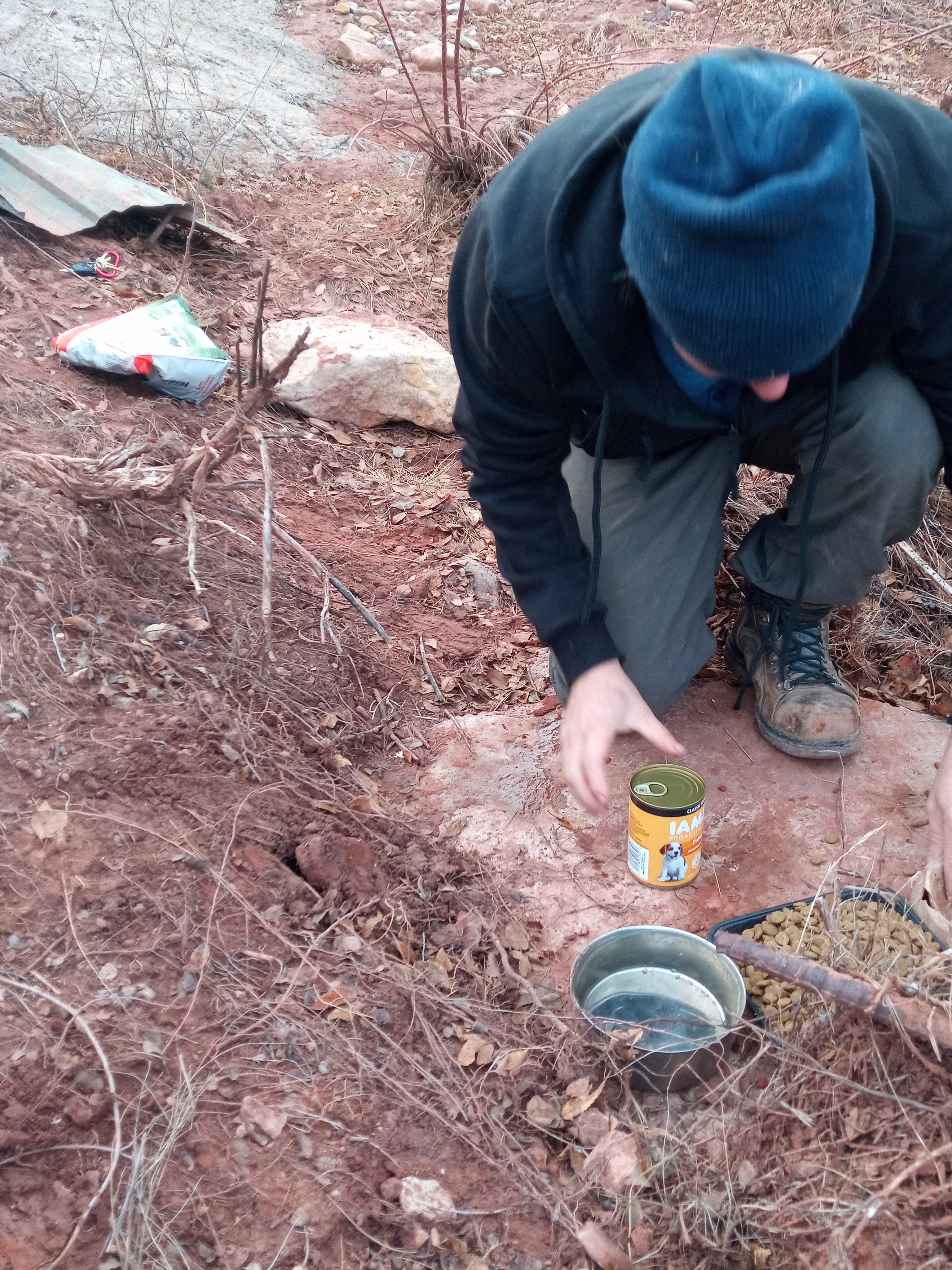 Raw animal camera upload (unprocessed). File: mot-det-20251228-161807.jpg.