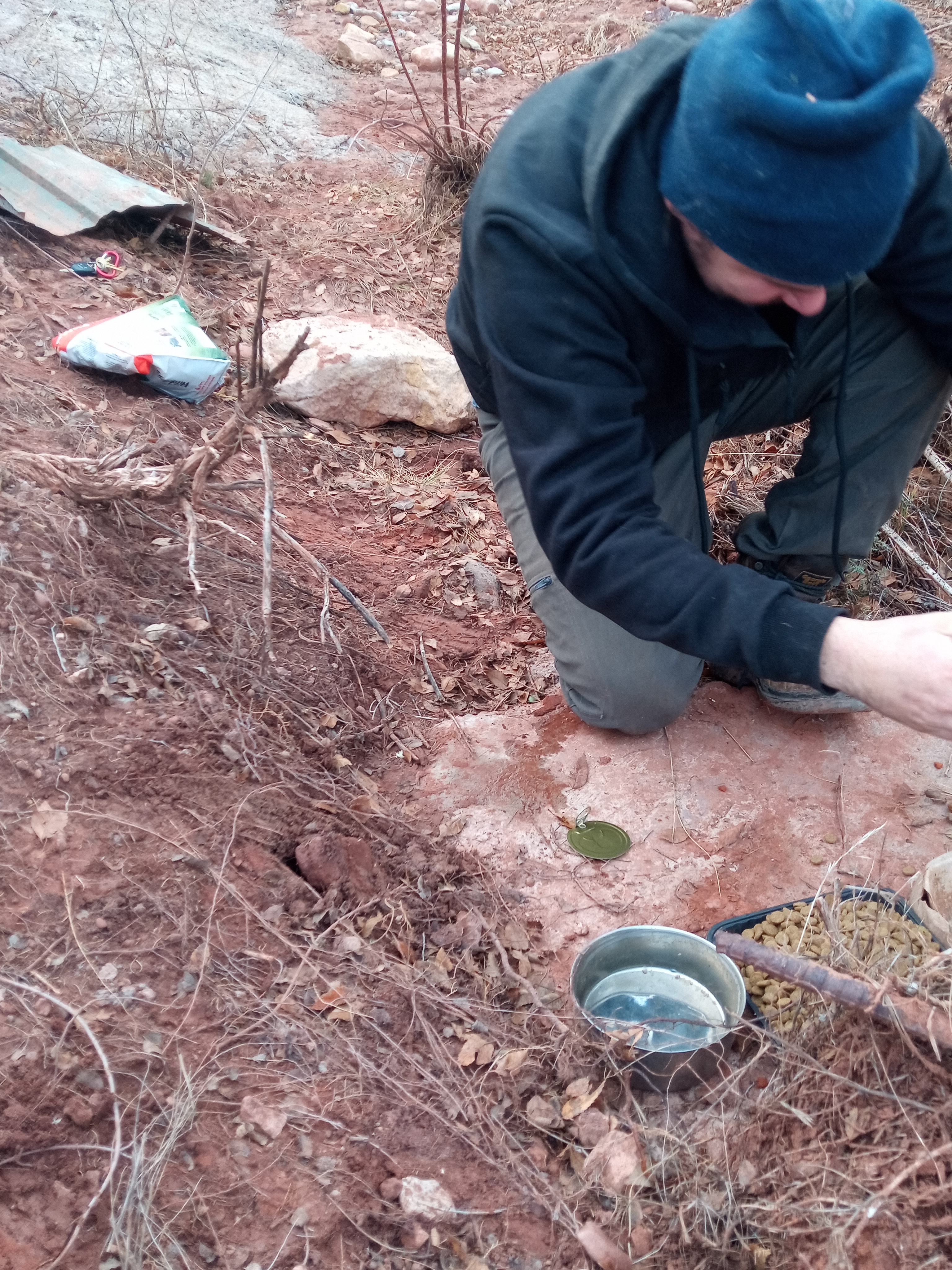 Raw animal camera upload (unprocessed). File: mot-det-20251228-161822.jpg.