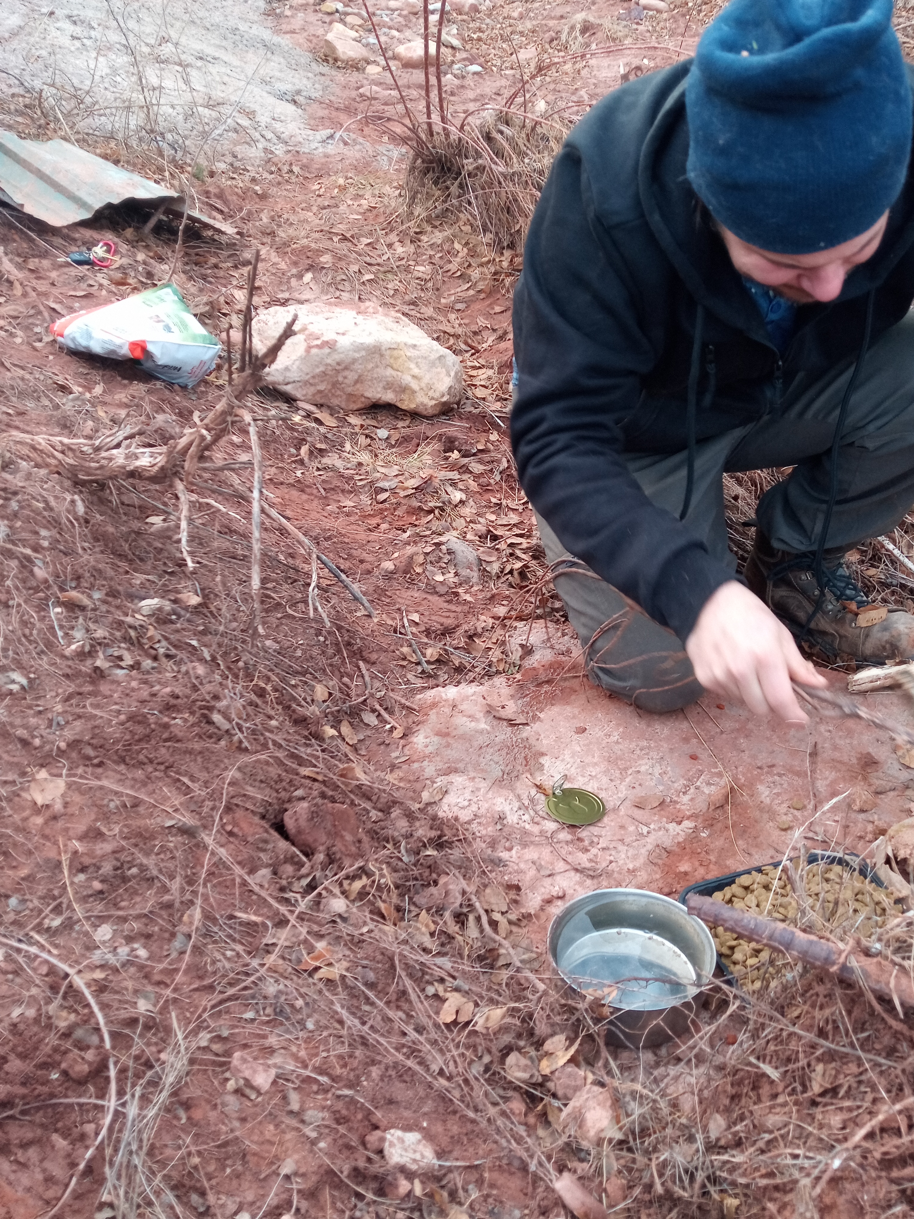 Raw animal camera upload (unprocessed). File: mot-det-20251228-161910.jpg.