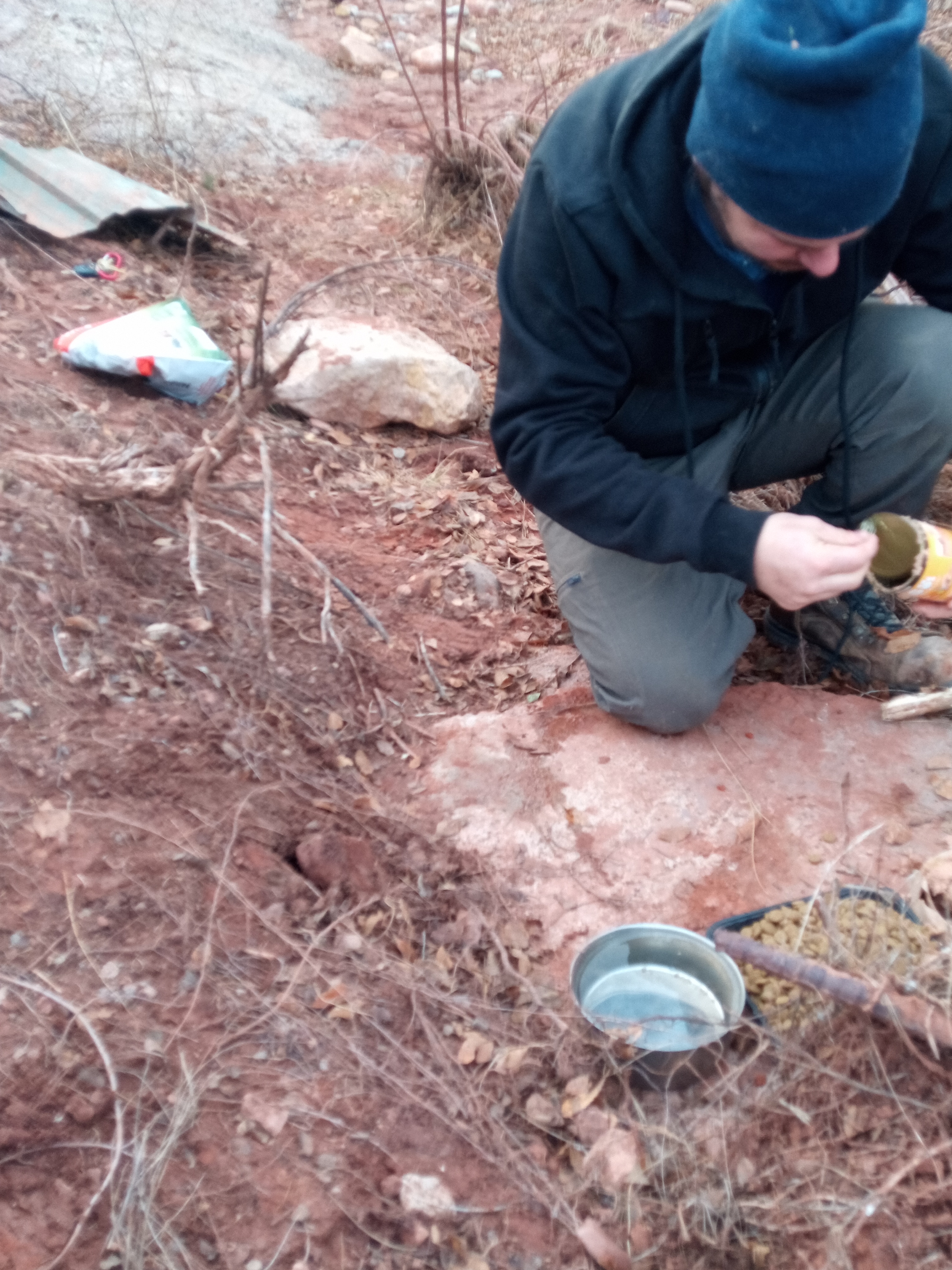 Raw animal camera upload (unprocessed). File: mot-det-20251228-161916.jpg.