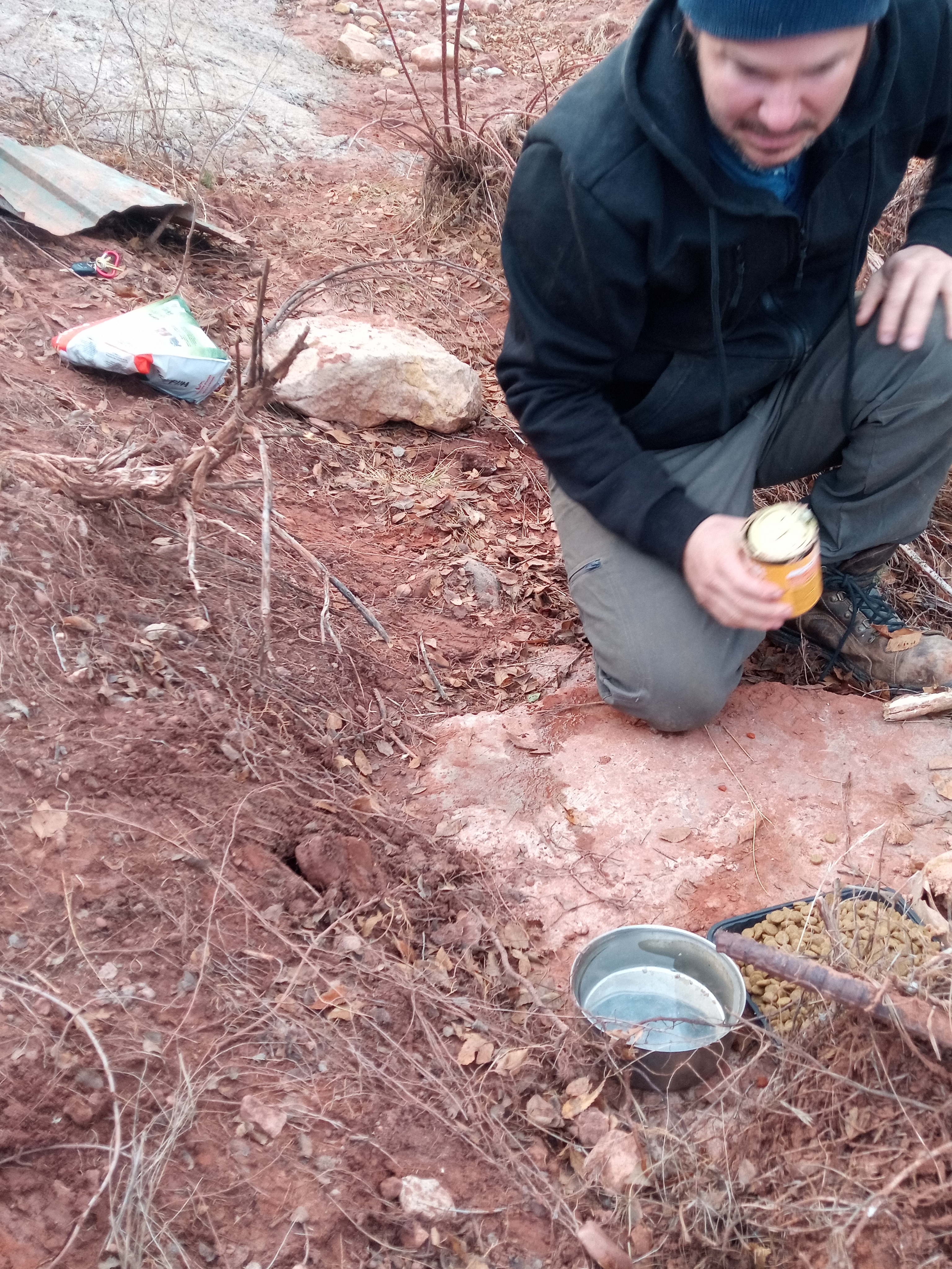 Raw animal camera upload (unprocessed). File: mot-det-20251228-161927.jpg.