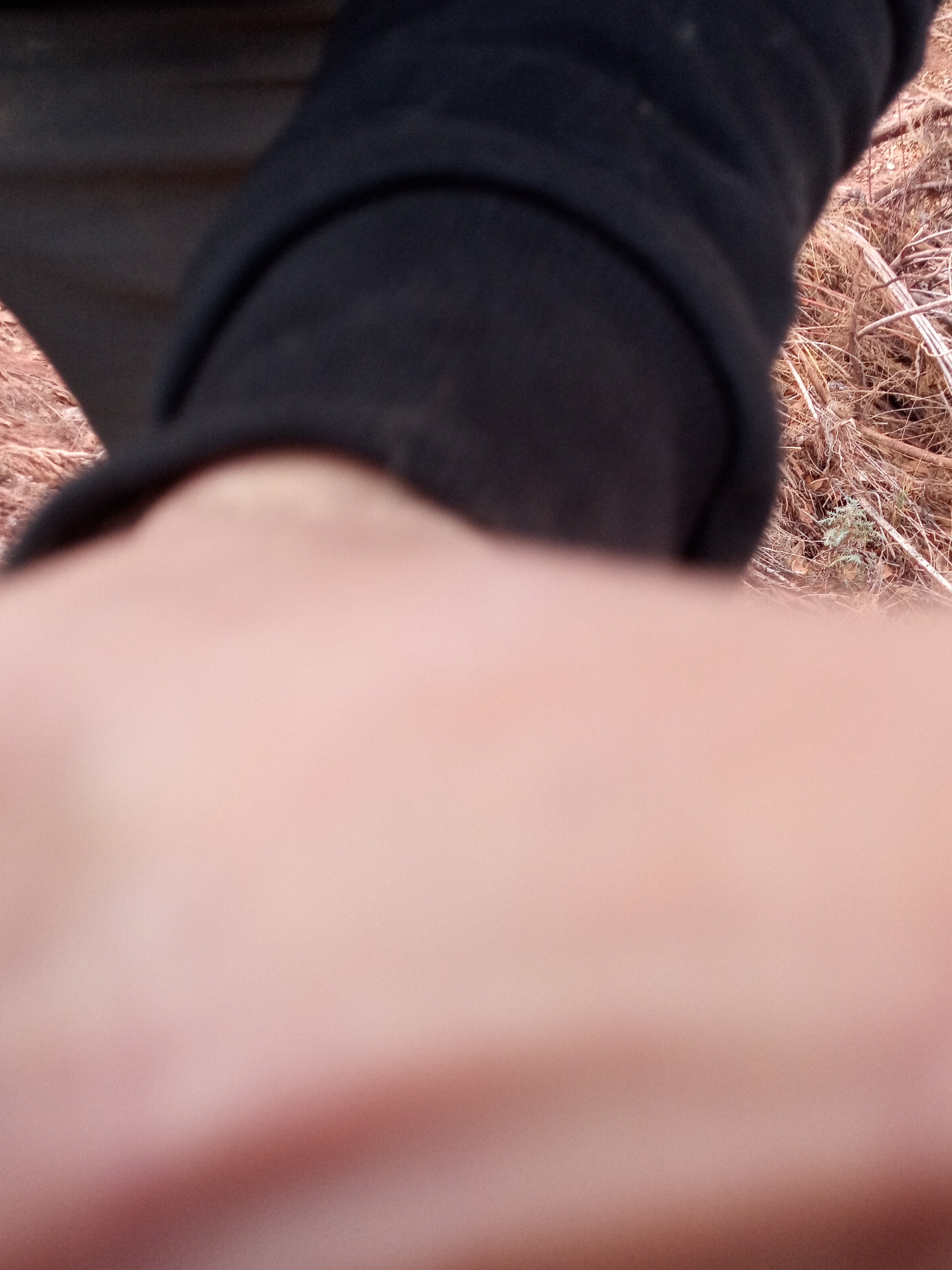 Raw animal camera upload (unprocessed). File: mot-det-20251228-162008.jpg.