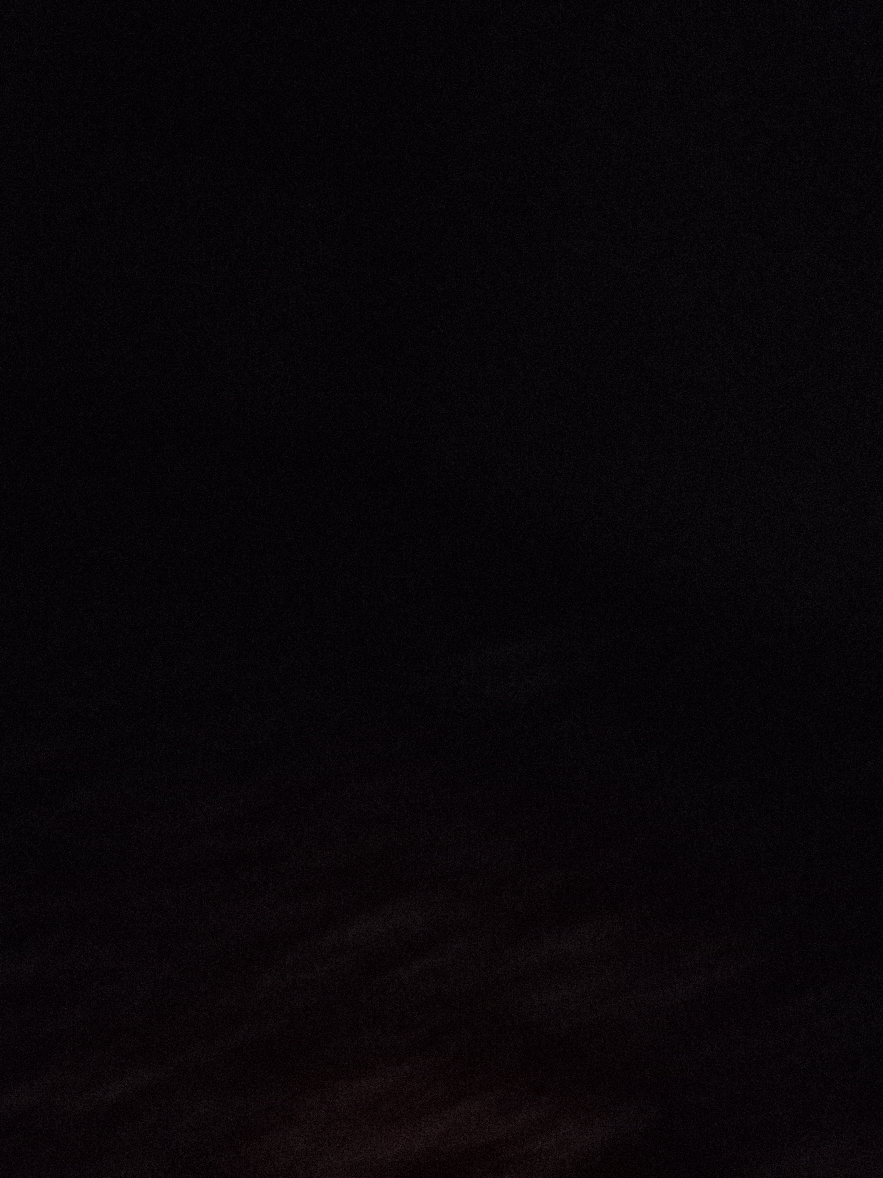 Raw animal camera upload (unprocessed). File: mot-det-20251228-182957.jpg.