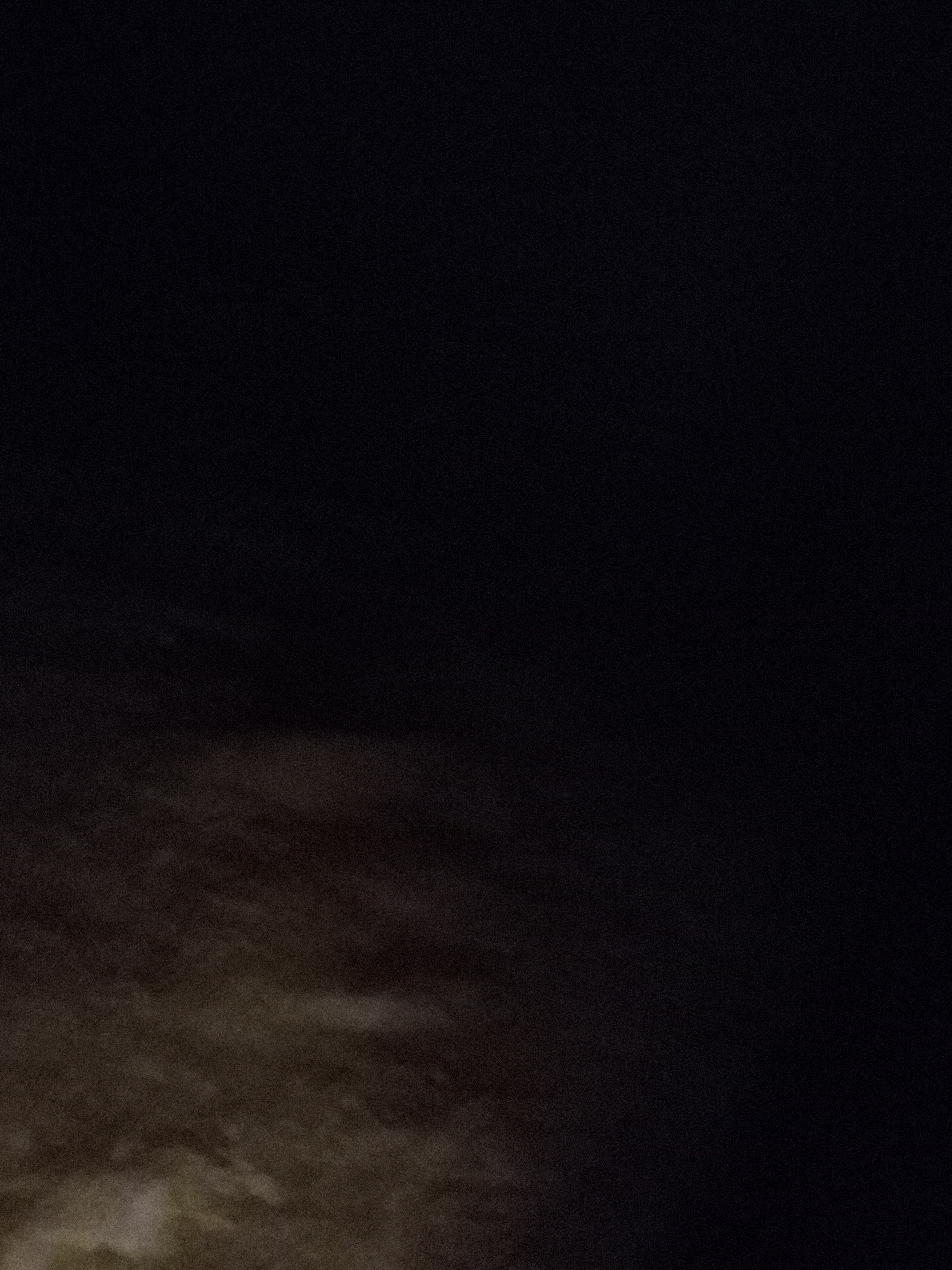 Raw animal camera upload (unprocessed). File: mot-det-20251228-183004.jpg.