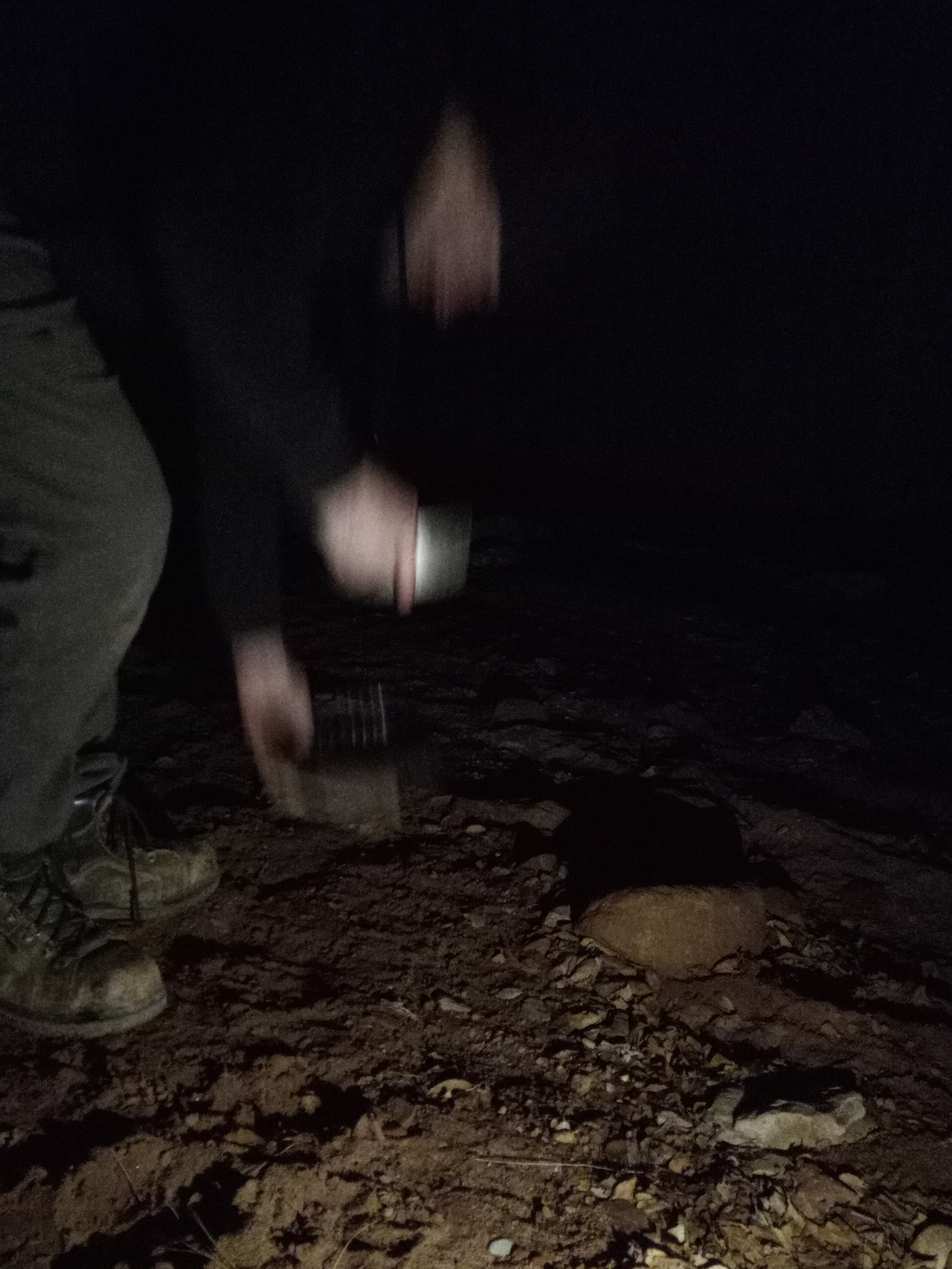 Raw animal camera upload (unprocessed). File: mot-det-20251228-183107.jpg.