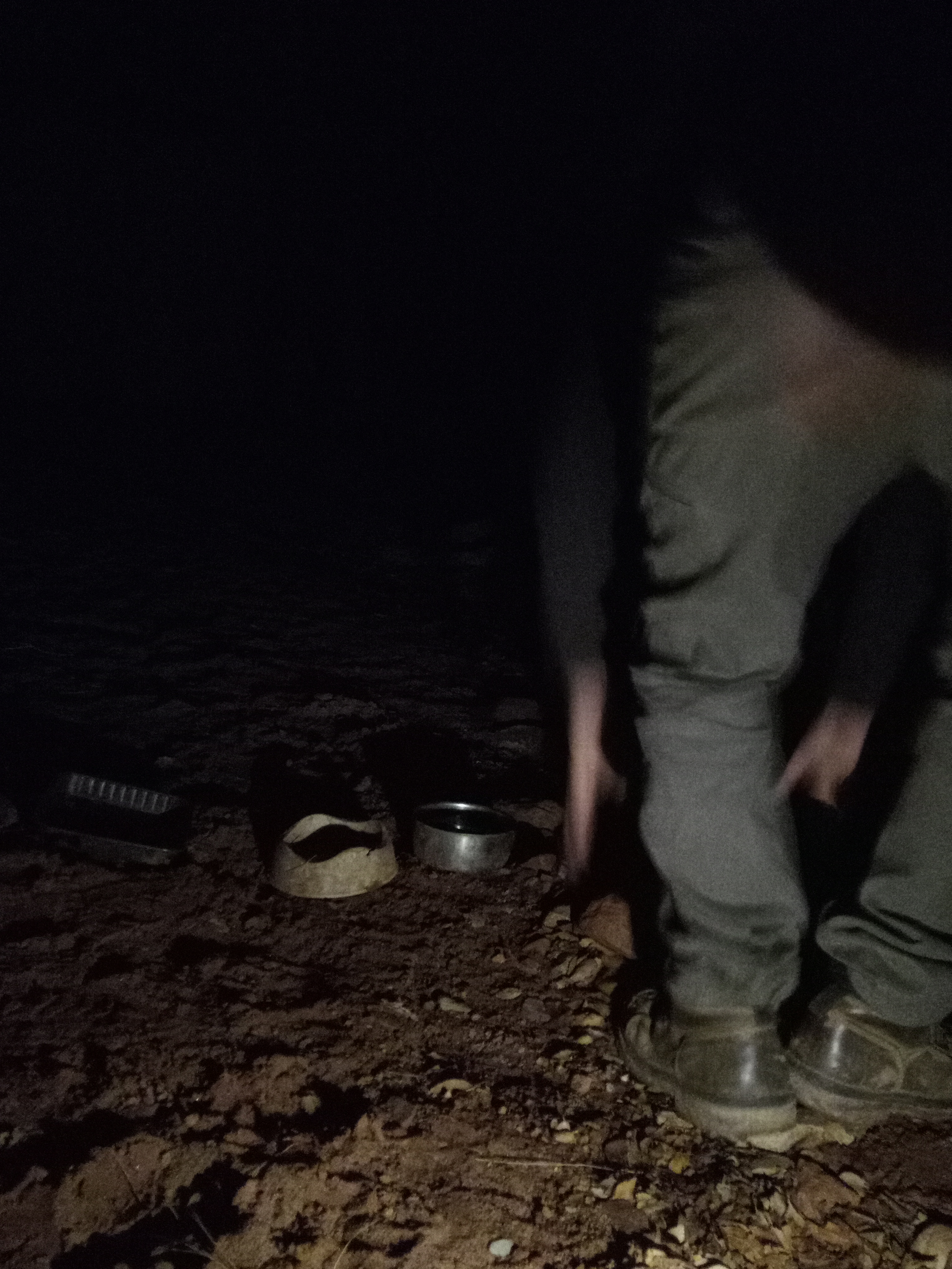 Raw animal camera upload (unprocessed). File: mot-det-20251228-183110.jpg.