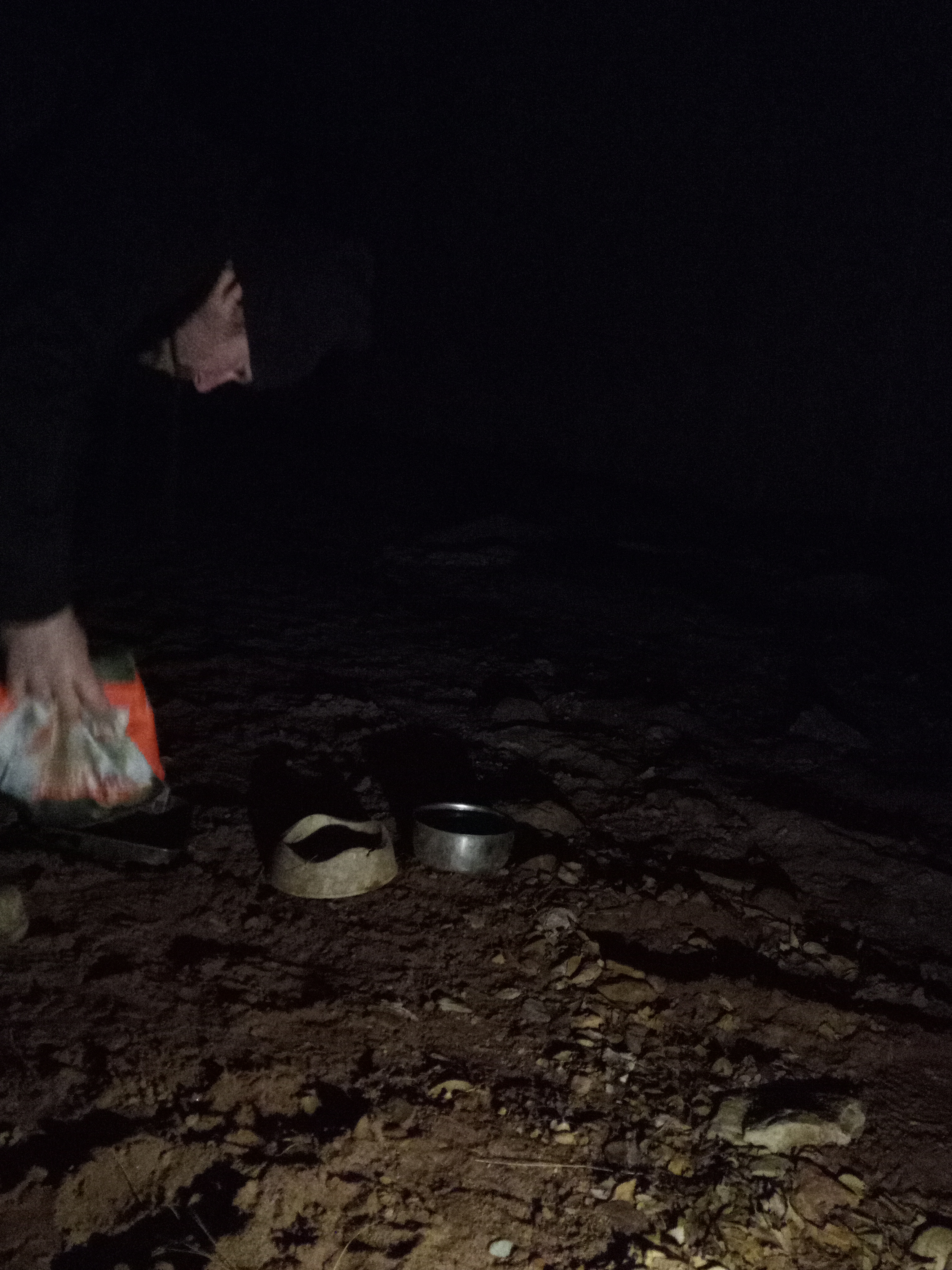 Raw animal camera upload (unprocessed). File: mot-det-20251228-183200.jpg.