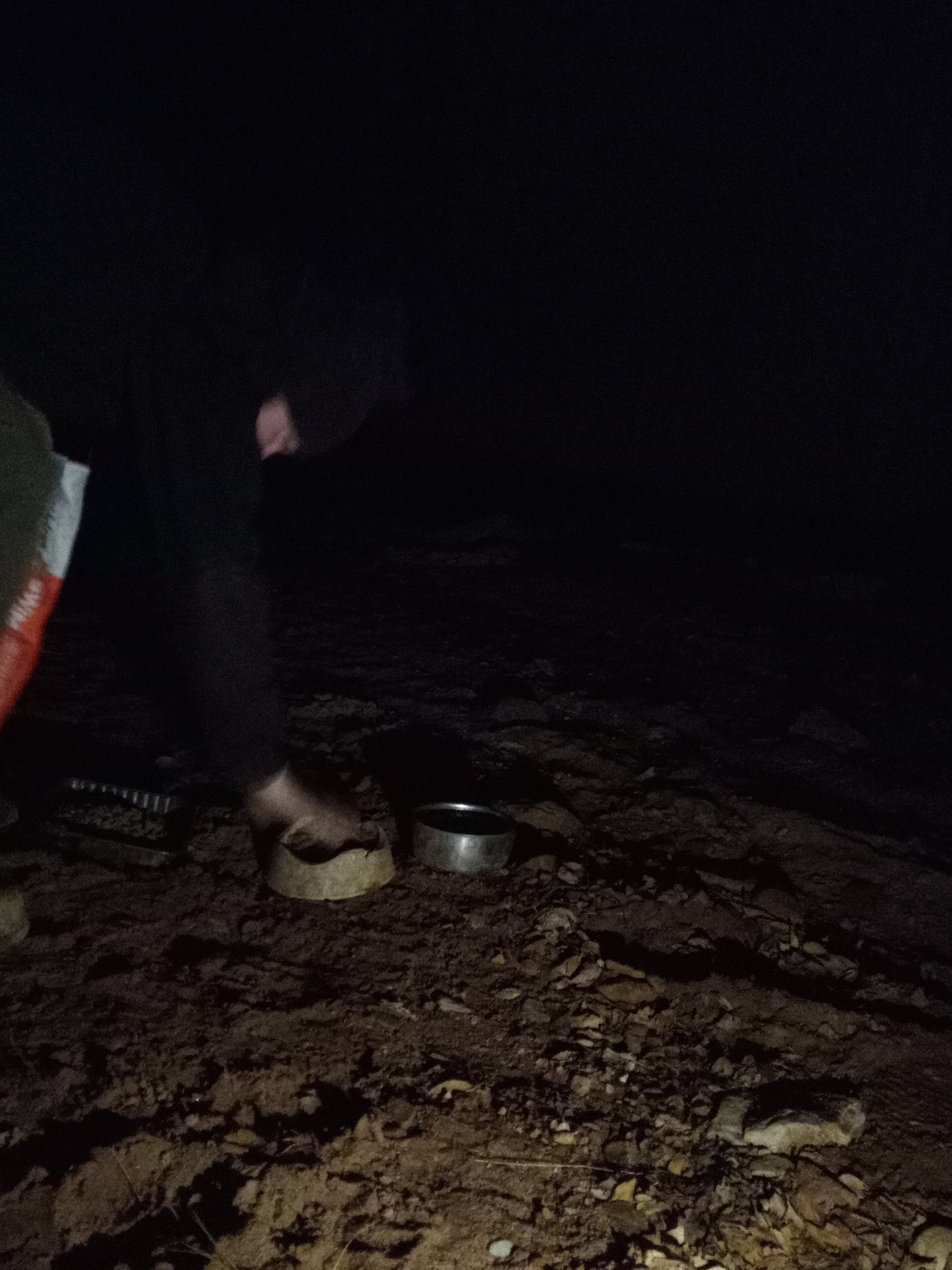 Raw animal camera upload (unprocessed). File: mot-det-20251228-183206.jpg.