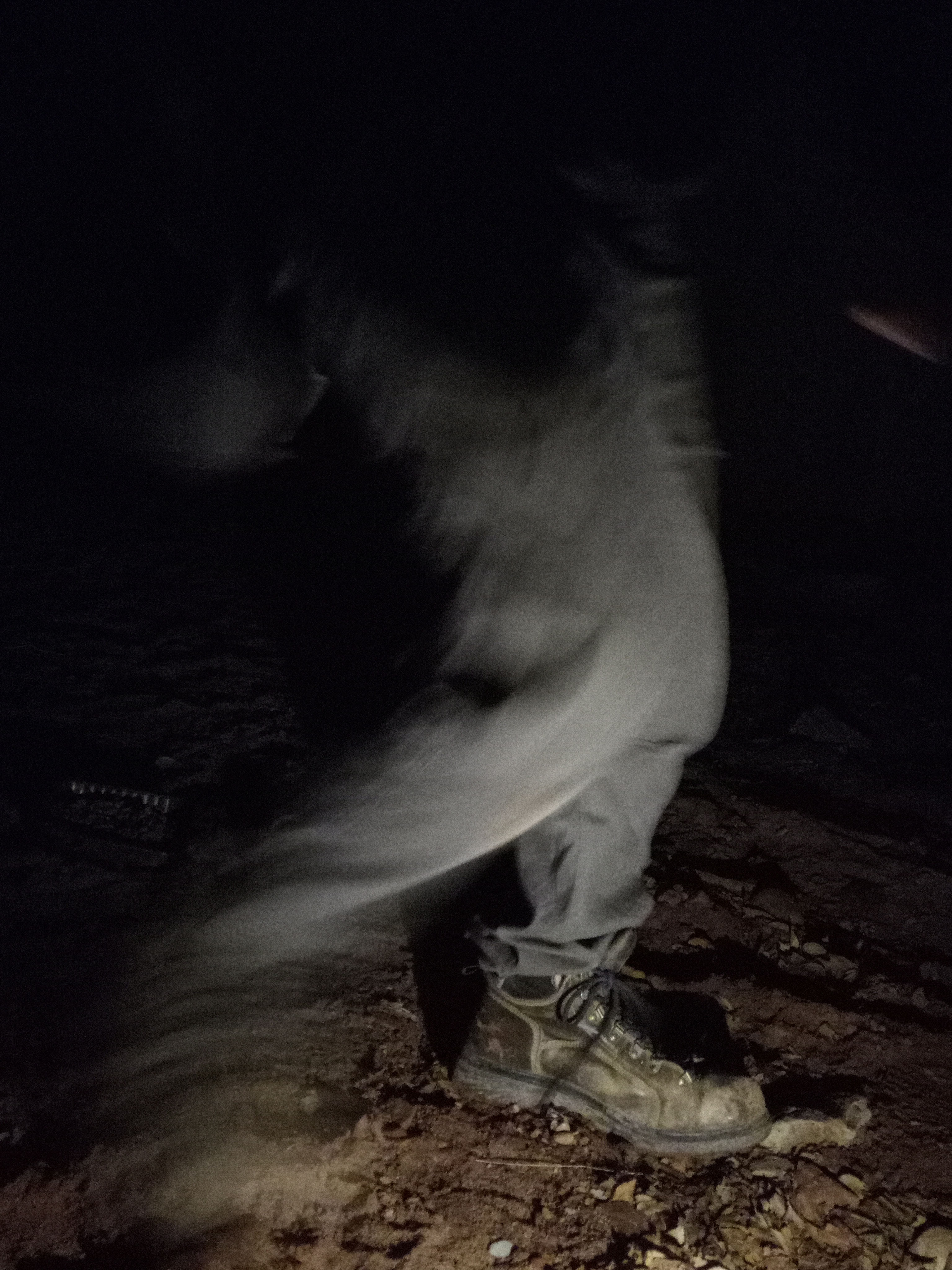 Raw animal camera upload (unprocessed). File: mot-det-20251228-183309.jpg.