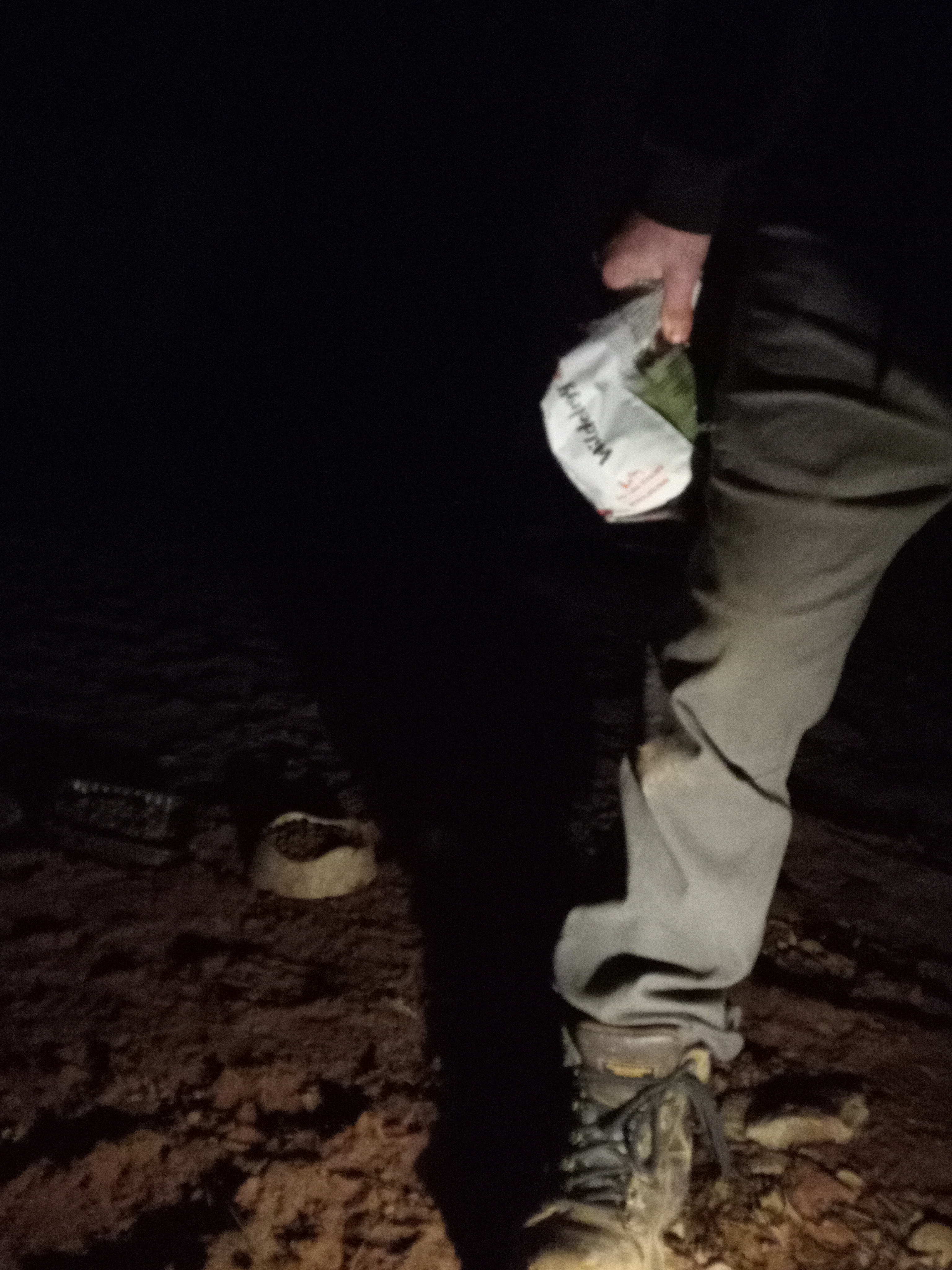 Raw animal camera upload (unprocessed). File: mot-det-20251228-183312.jpg.