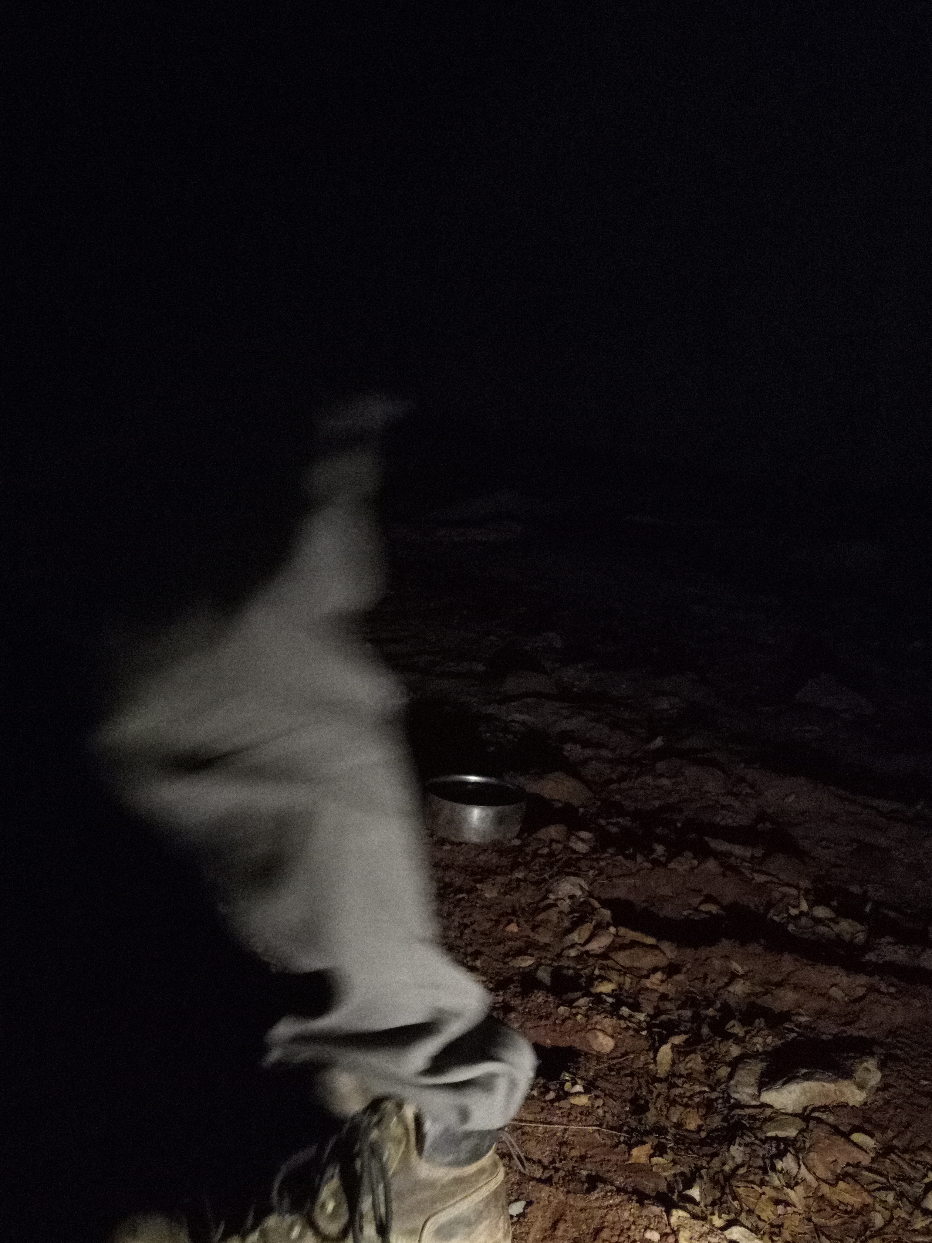 Raw animal camera upload (unprocessed). File: mot-det-20251228-183323.jpg.