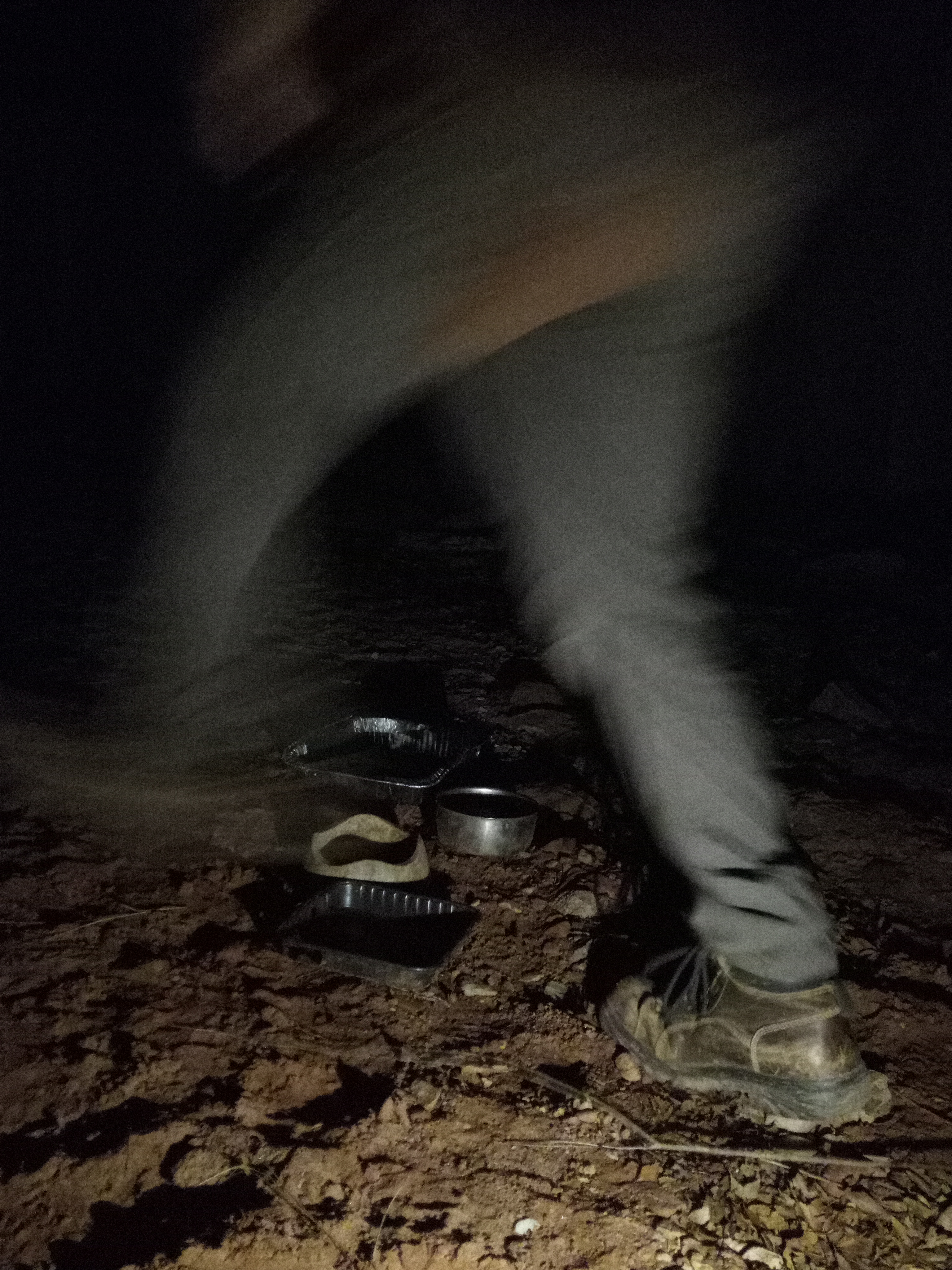 Raw animal camera upload (unprocessed). File: mot-det-20251229-182829.jpg.