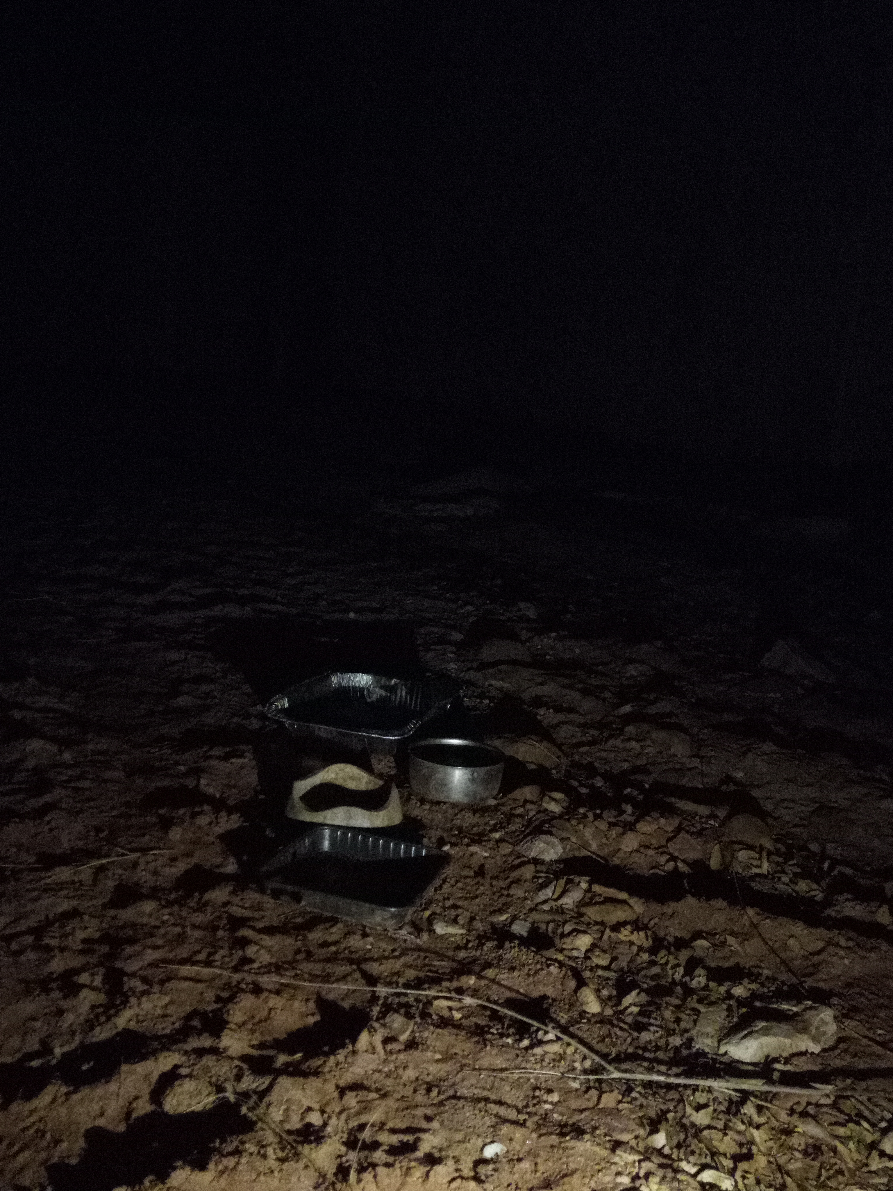 Raw animal camera upload (unprocessed). File: mot-det-20251229-182832.jpg.