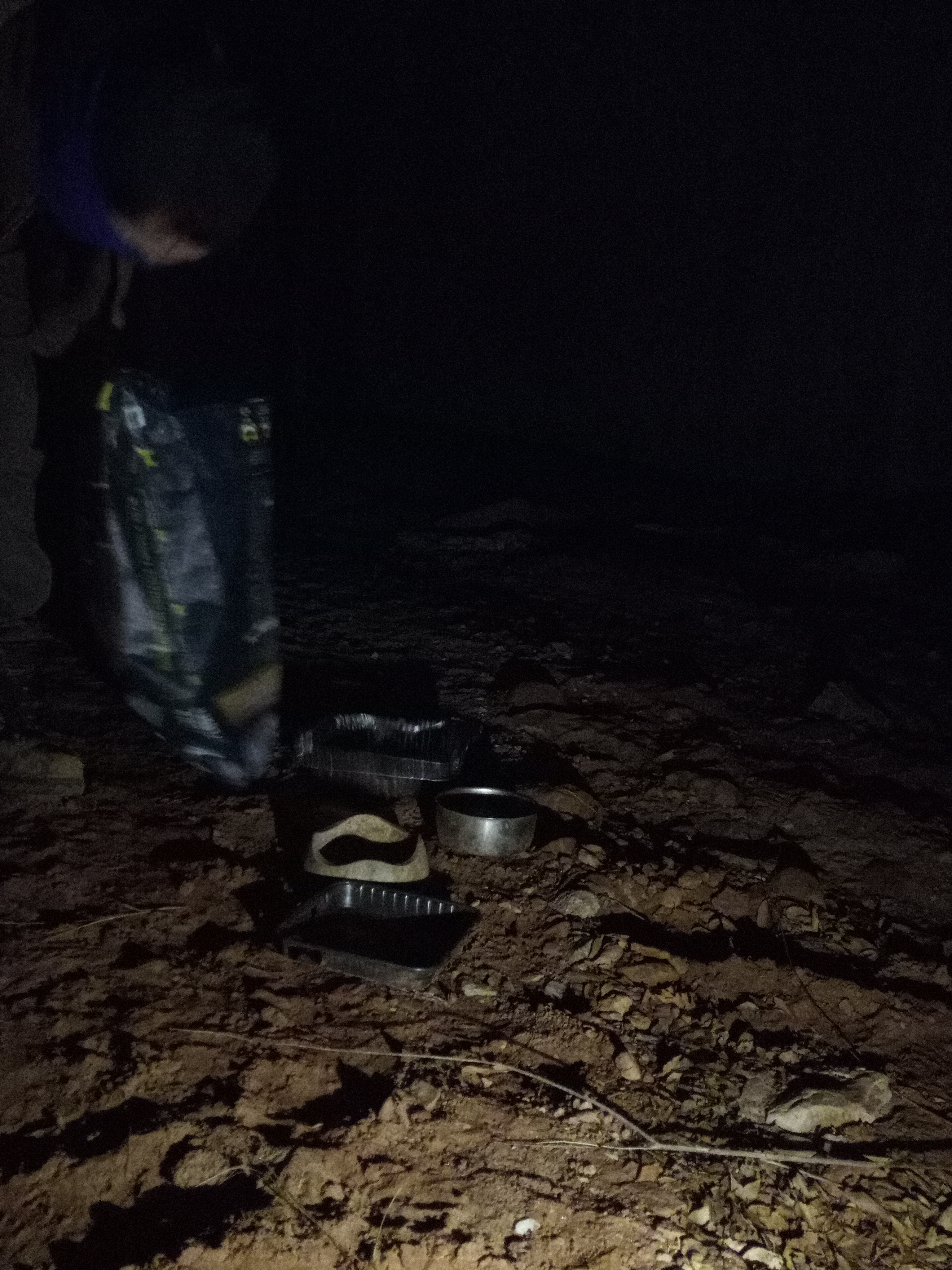 Raw animal camera upload (unprocessed). File: mot-det-20251229-182850.jpg.