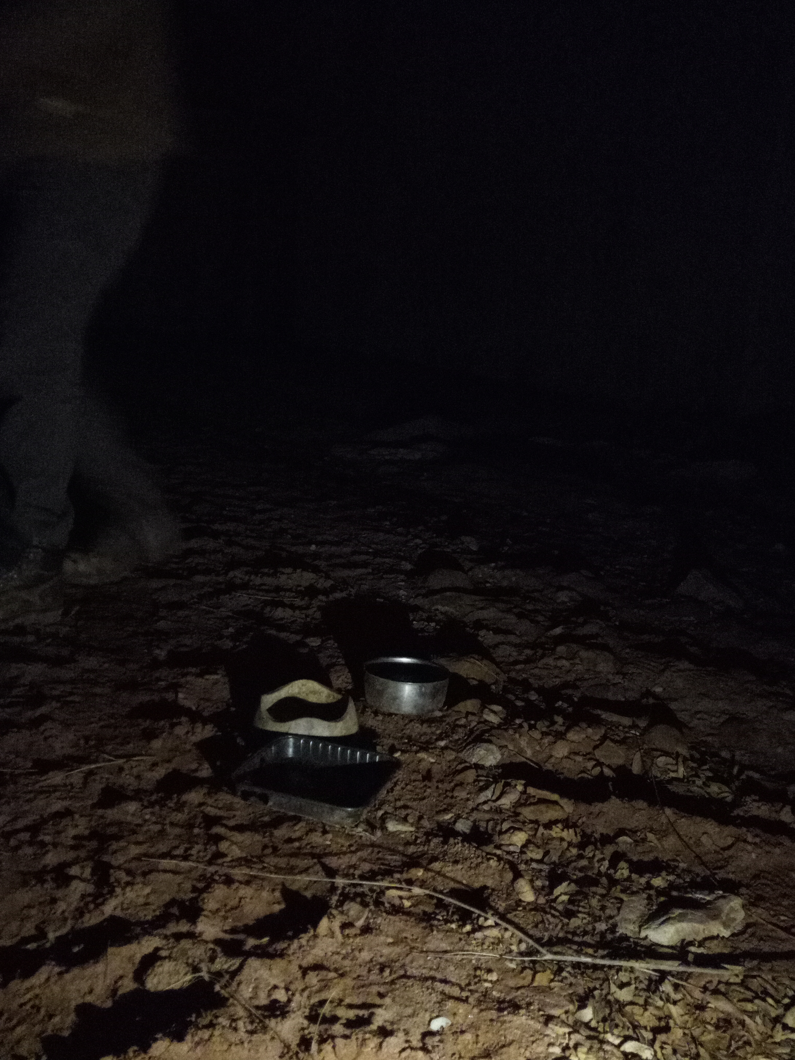 Raw animal camera upload (unprocessed). File: mot-det-20251229-182911.jpg.